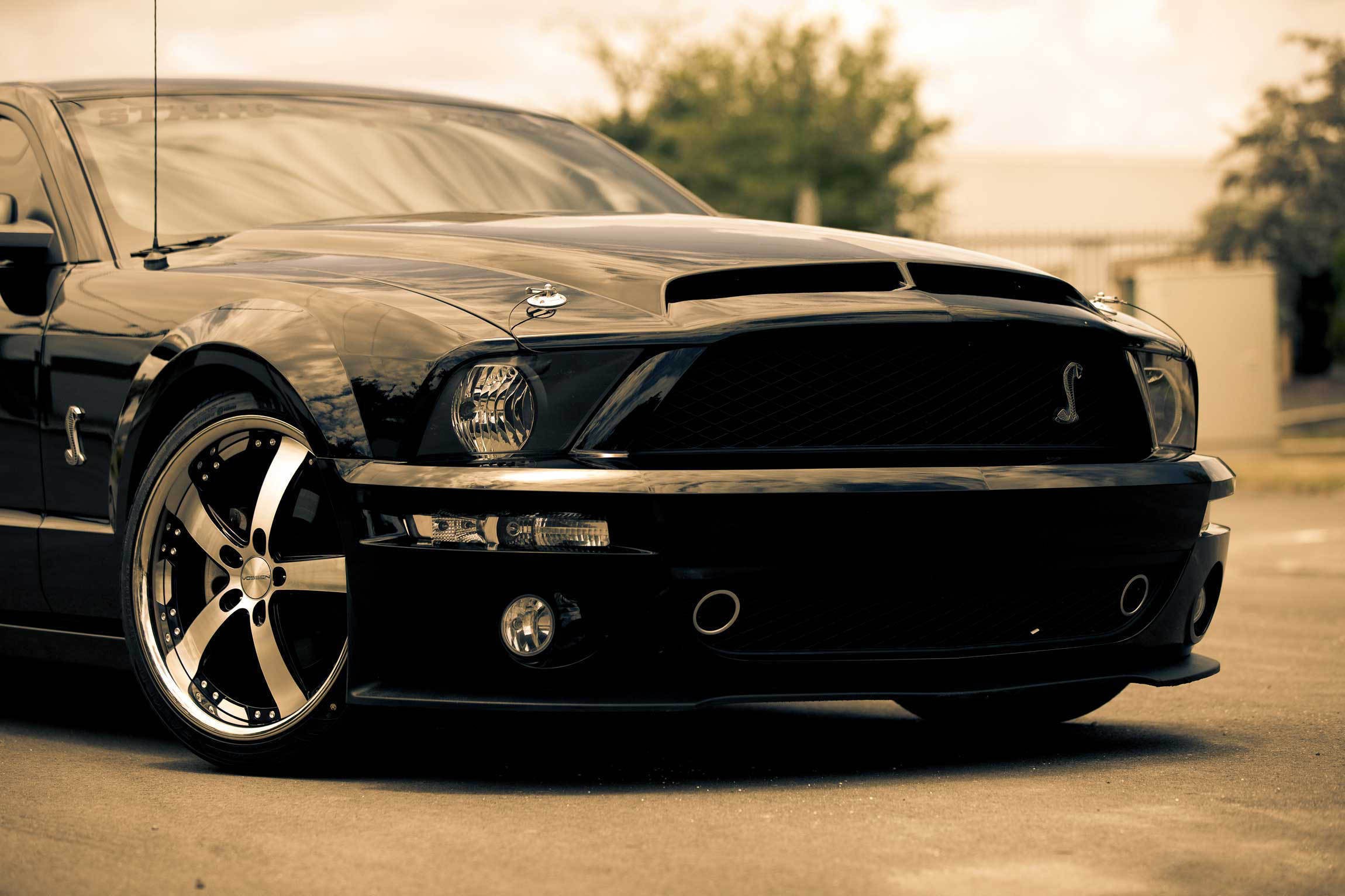 Ford Mustang Wallpaper Hd Download