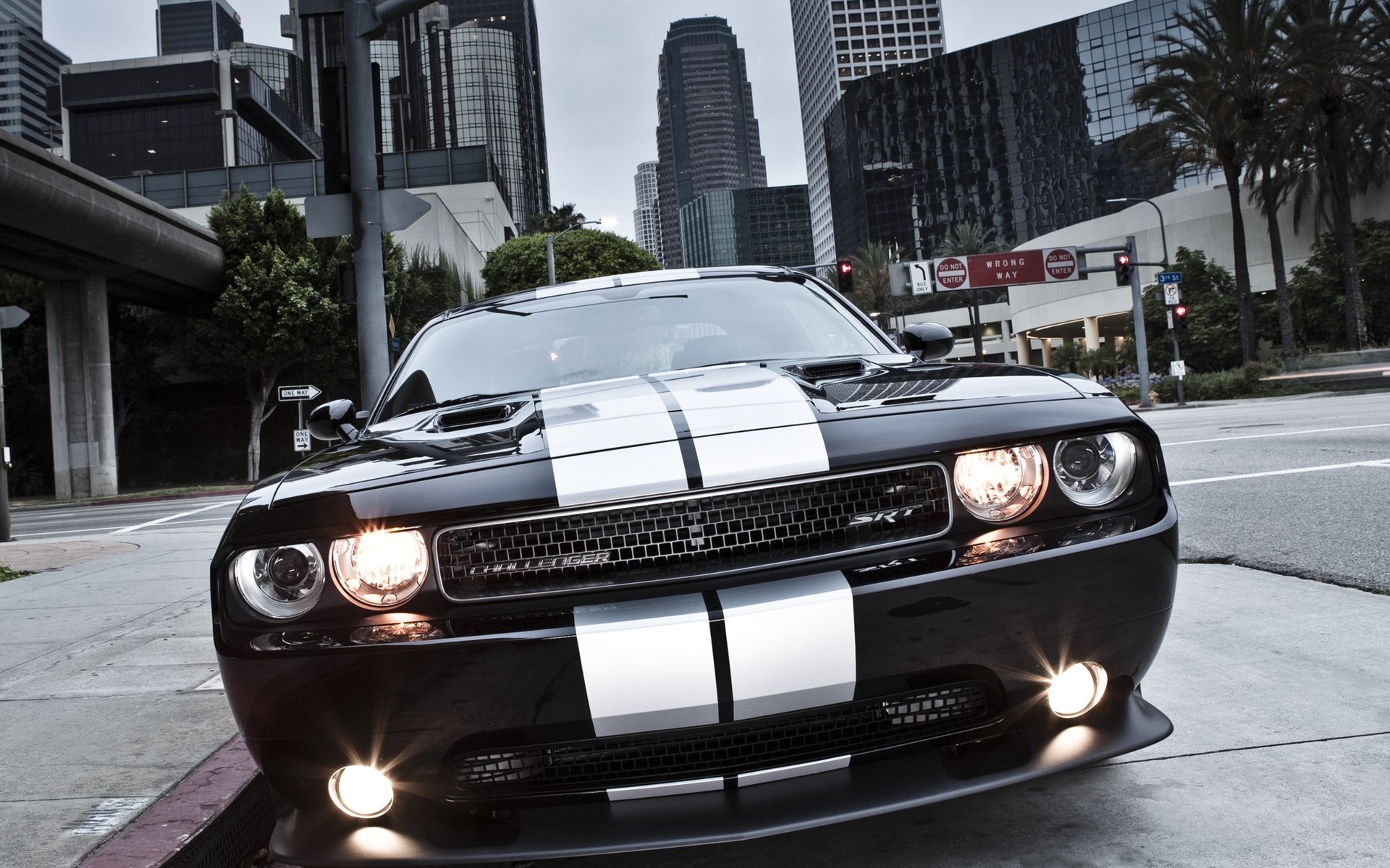 Cars Mustang 1920x1080px : Free HD Pic