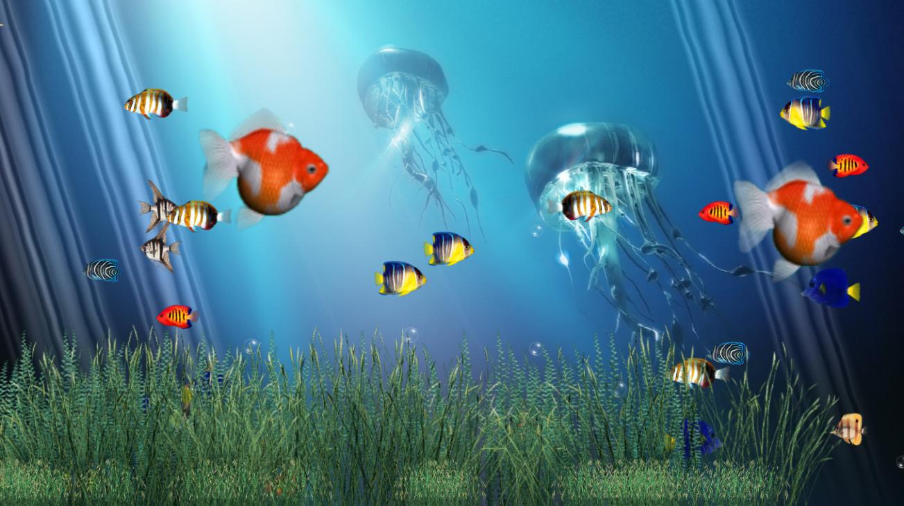 Free Aquarium Screensavers HD: July 2012
