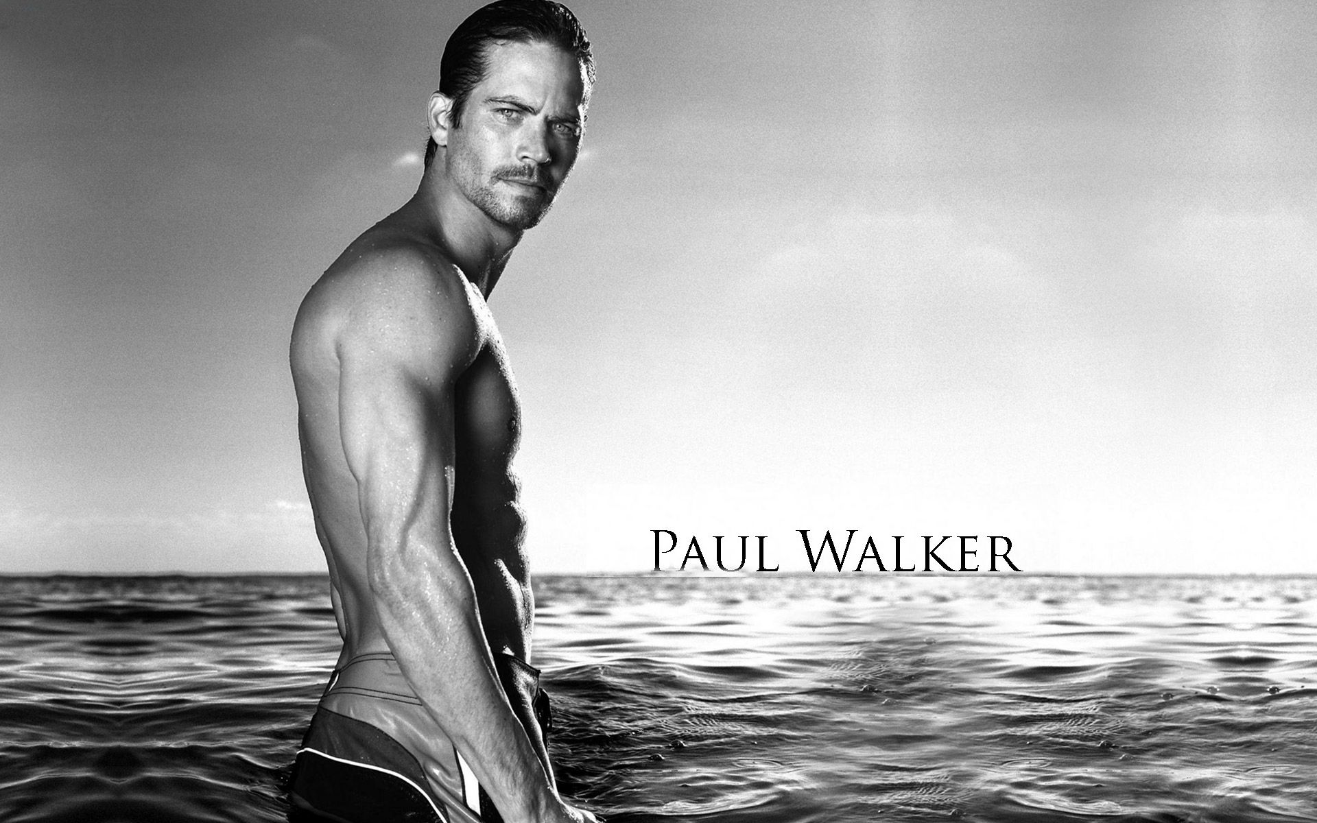 Paul Walker Wallpapers HD Download