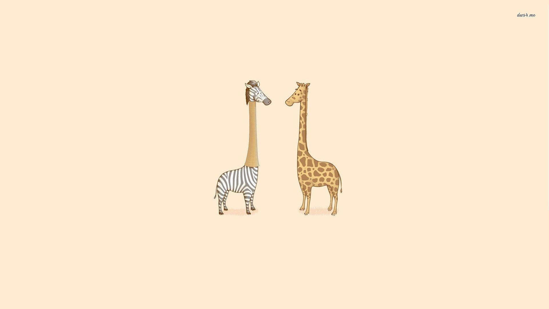 Long neck zebra and a giraffe wallpaper - Funny wallpapers - #30713