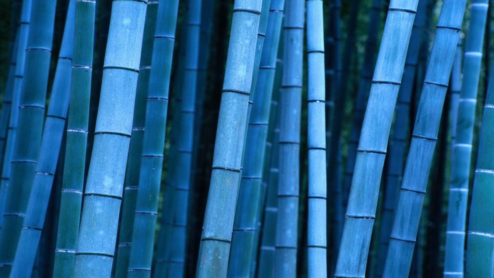 Download Blue Bamboo Sticks Wallpaper | Full HD Wallpapers