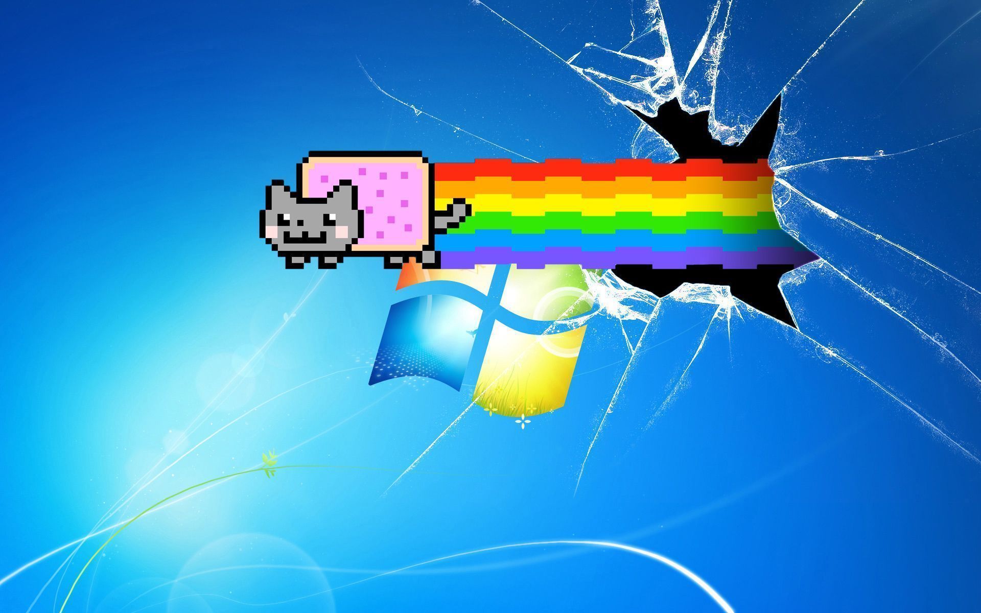 Nyan Cat Windows Wallpaper Hd Wallpapers Hd Wallpaper Nyan Cat Jpg