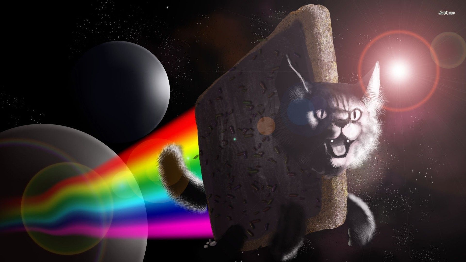 Nyan Cat Flying Away From The Planet Wallpaper Meme Wallpapers Images, Photos, Reviews