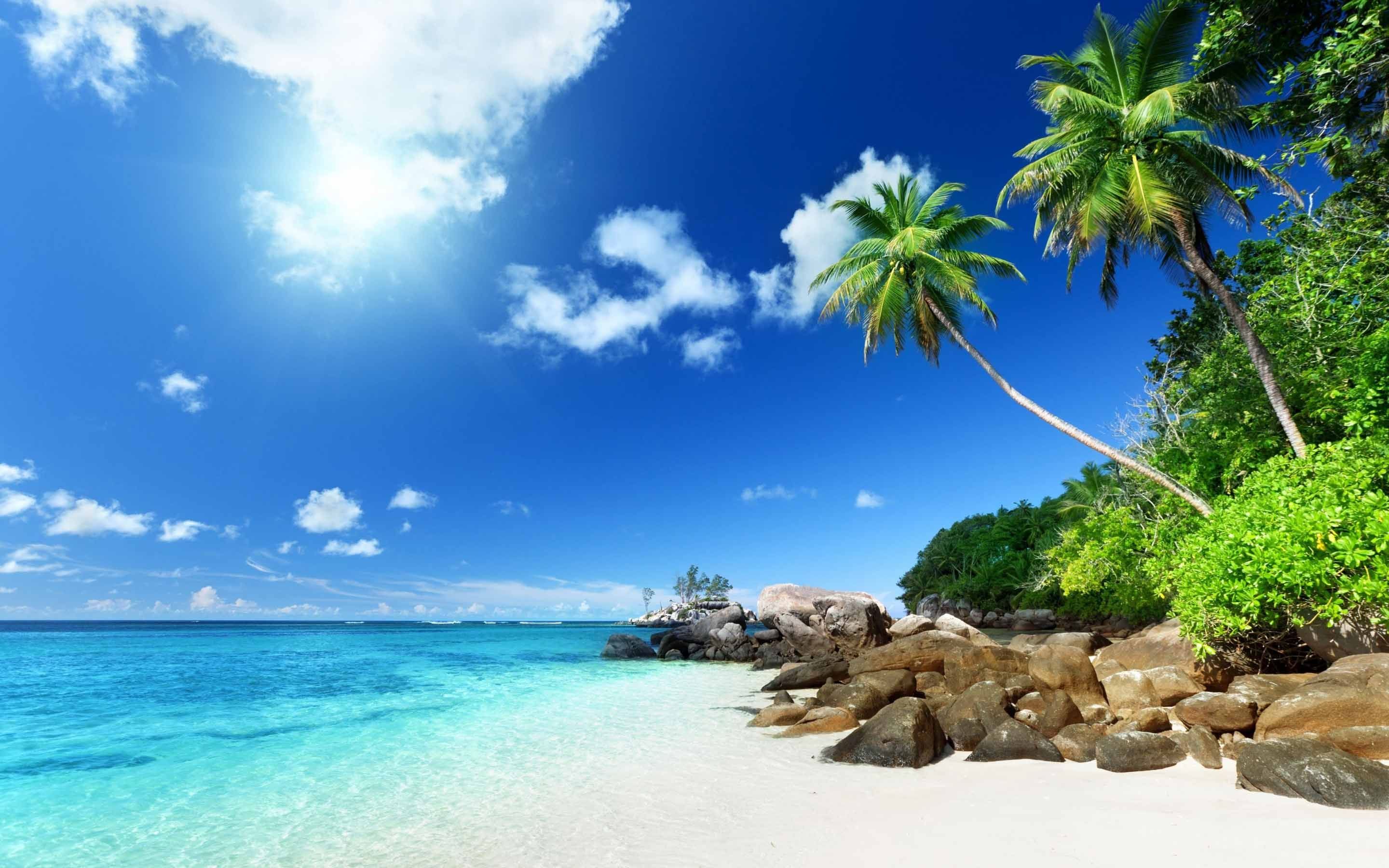The best beach wallpapers for Mac