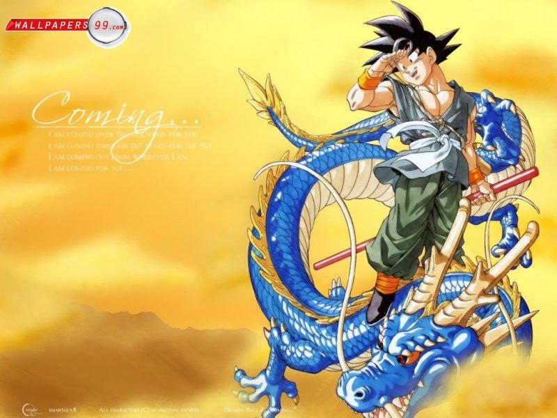 Super & New Wallpapers: Cool wallpapers : Dragonball Z (songoku)