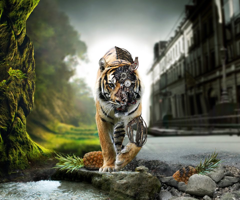 Animated Tiger Images - Wallpapers High Definition