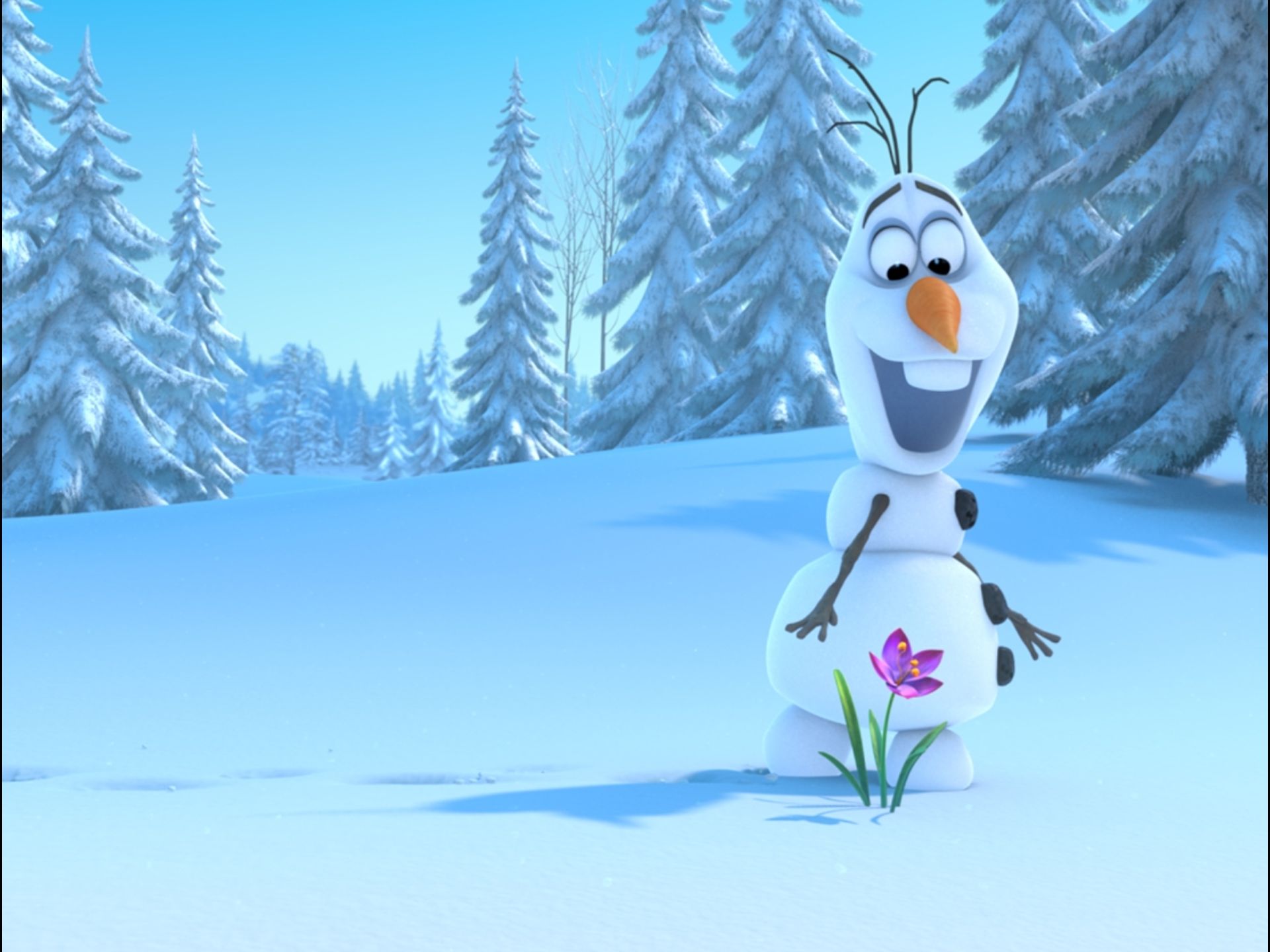 Disney Frozen Olaf HD Wallpaper Image for Tablet - Cartoons Wallpapers