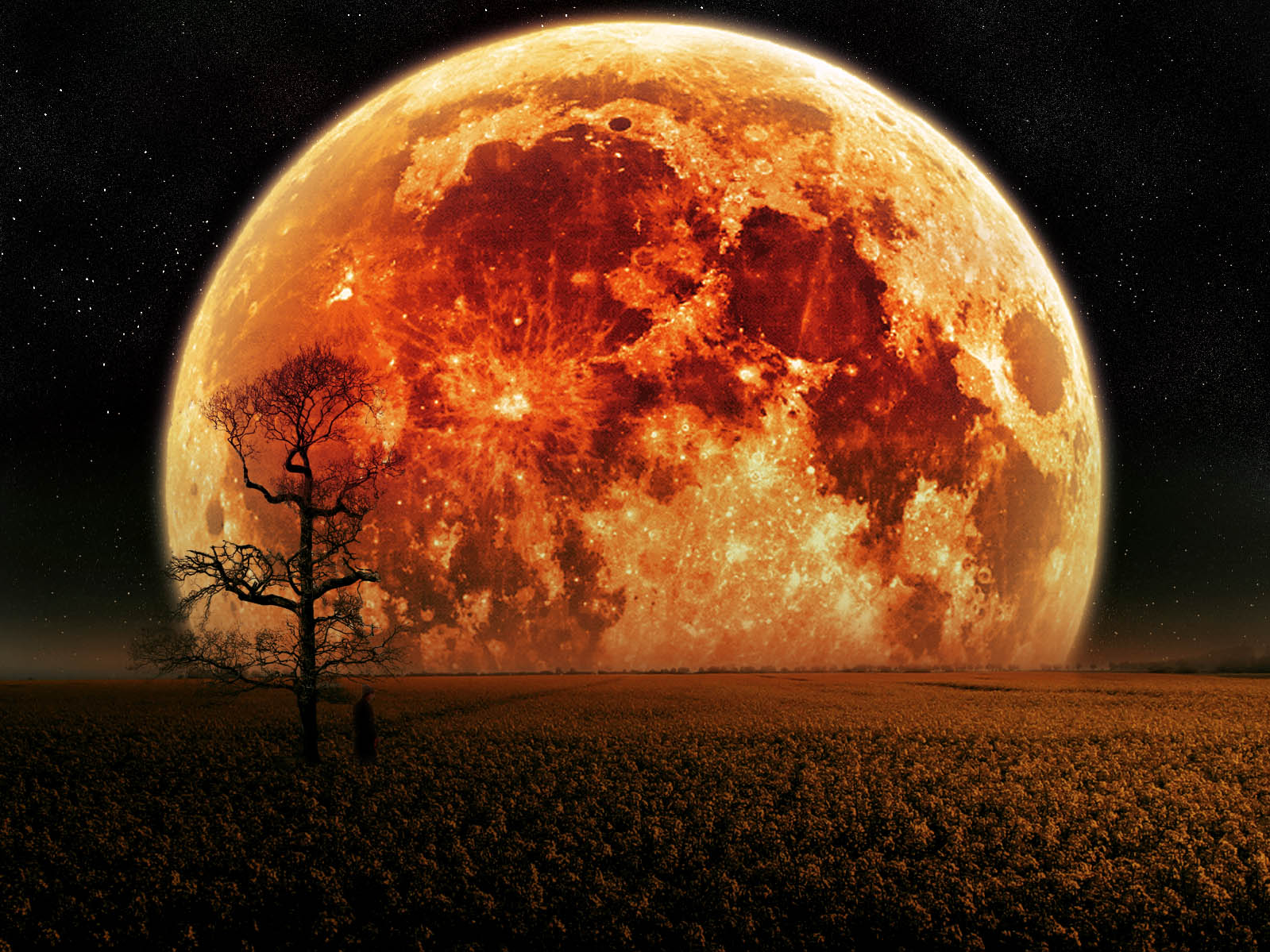 Planet fall Wallpaper Background 39511