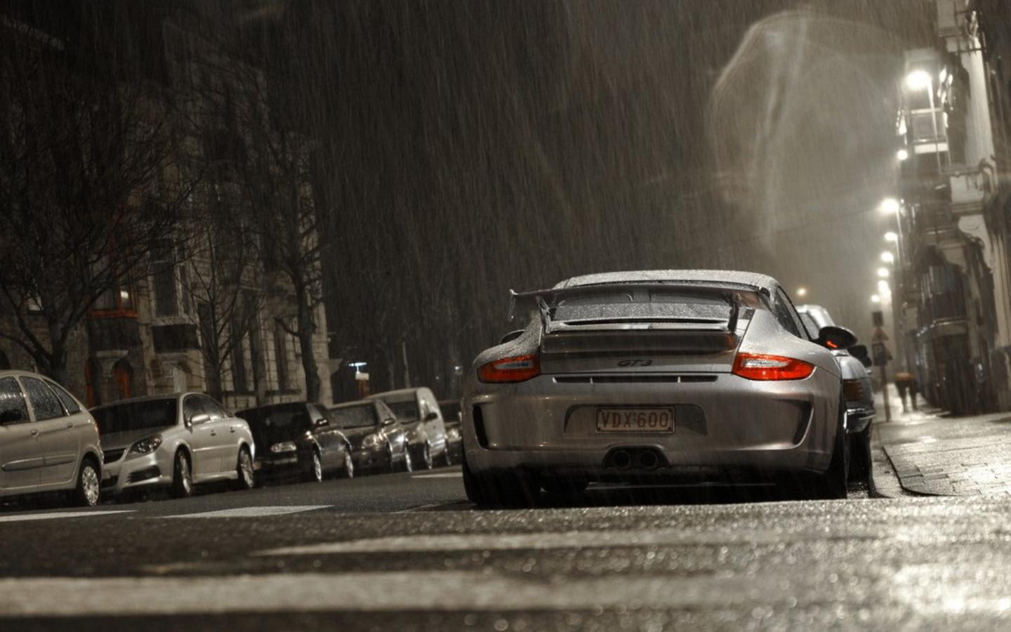 Porsche GT3 2014 Silver - image