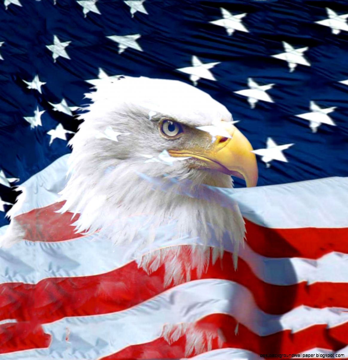 American Eagle Wallpaper Pictures Best Background Wallpaper
