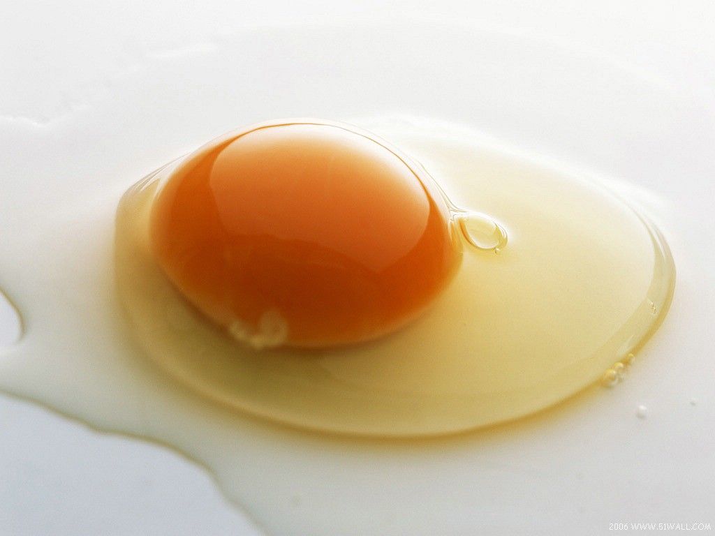 Culinary-Best-Quality-Fried-Egg-HD-Wallpapers.jpg