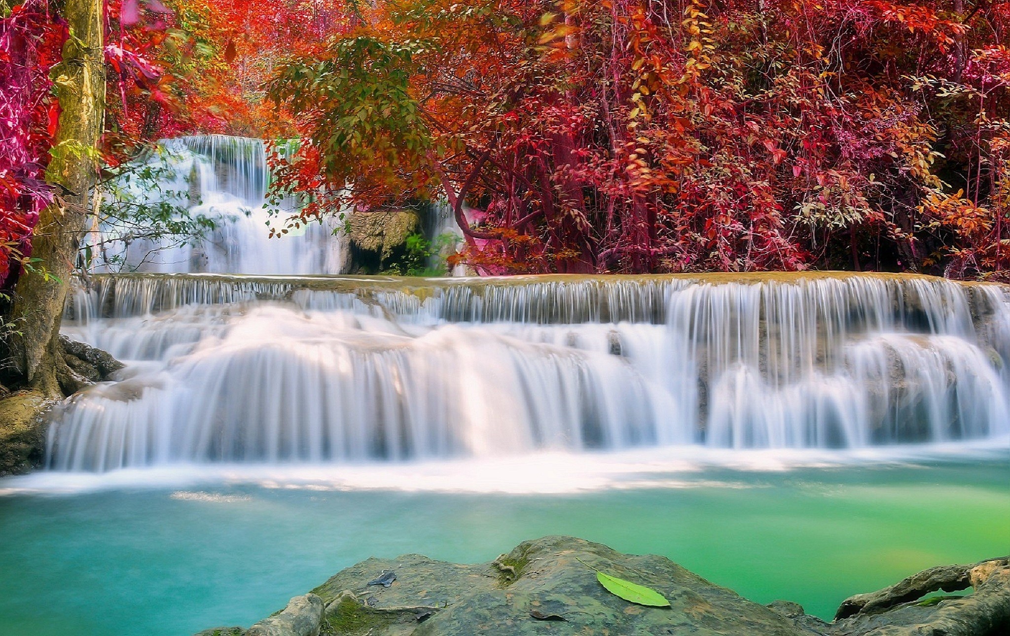 Waterfalls: Waterfall Autumn Photography Paradise Plants Love ...