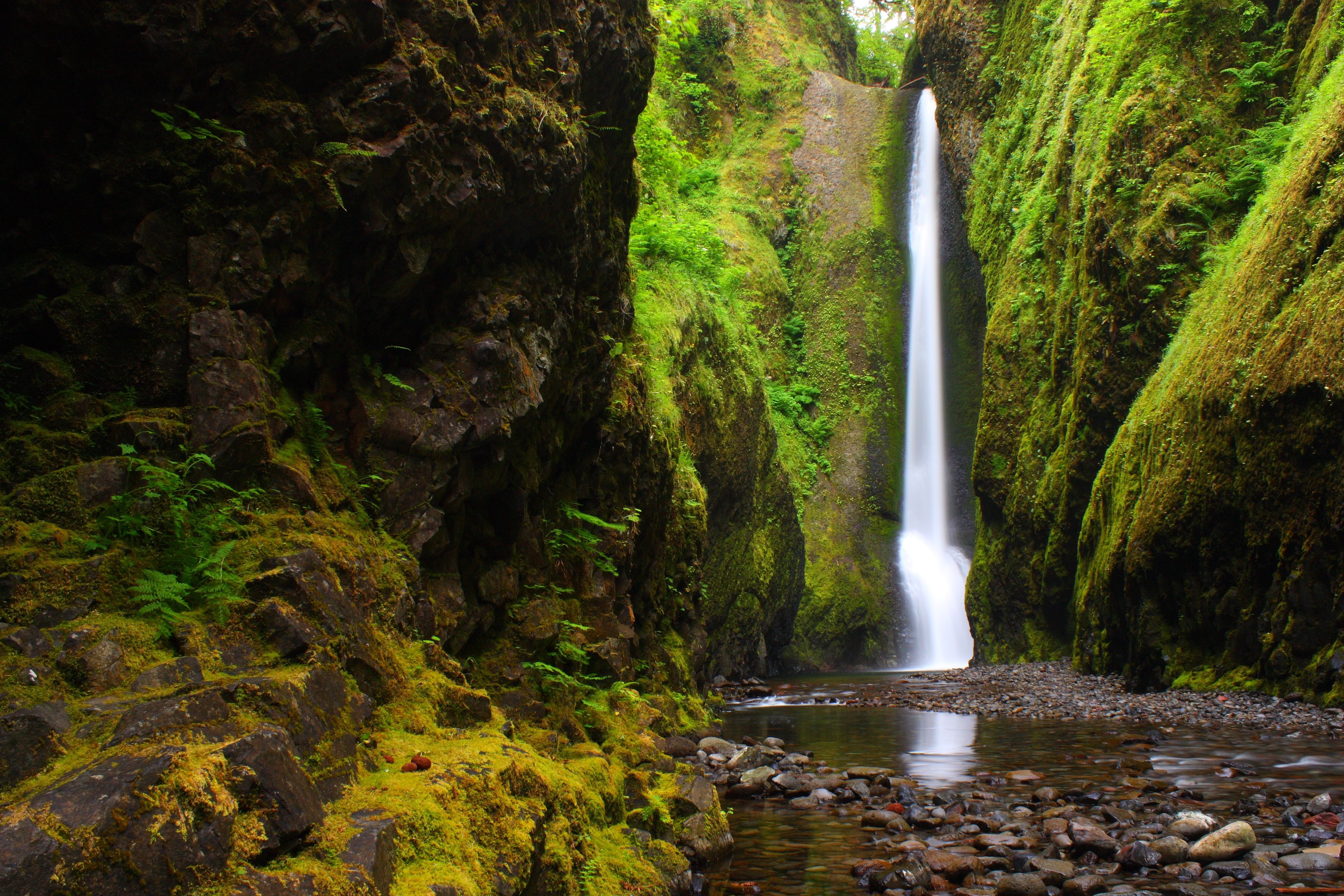 Waterfalls: River Mountains Forest Nature Gorge Oregon HD ...