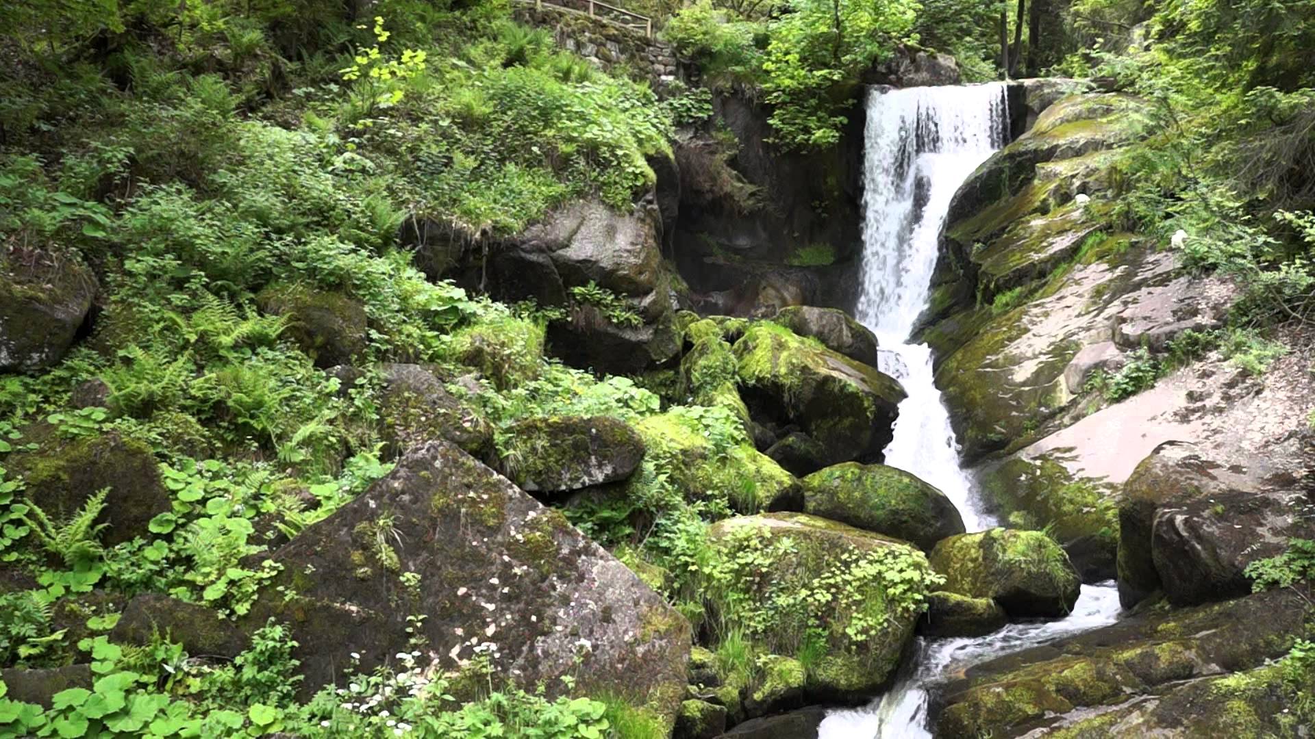 free video loop free video background HD Triberg Waterfalls III ...