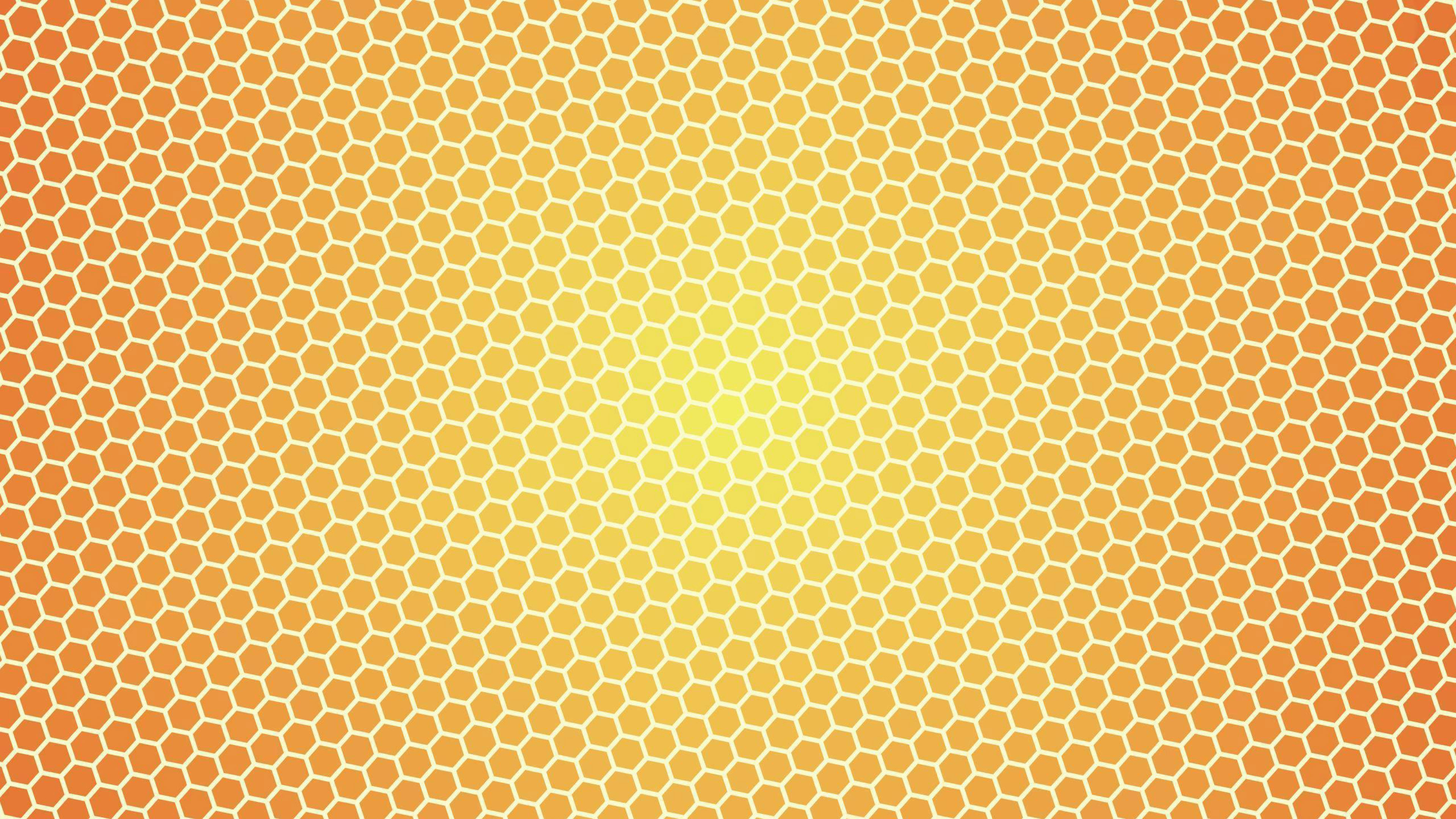 Honey HD Wallpaper