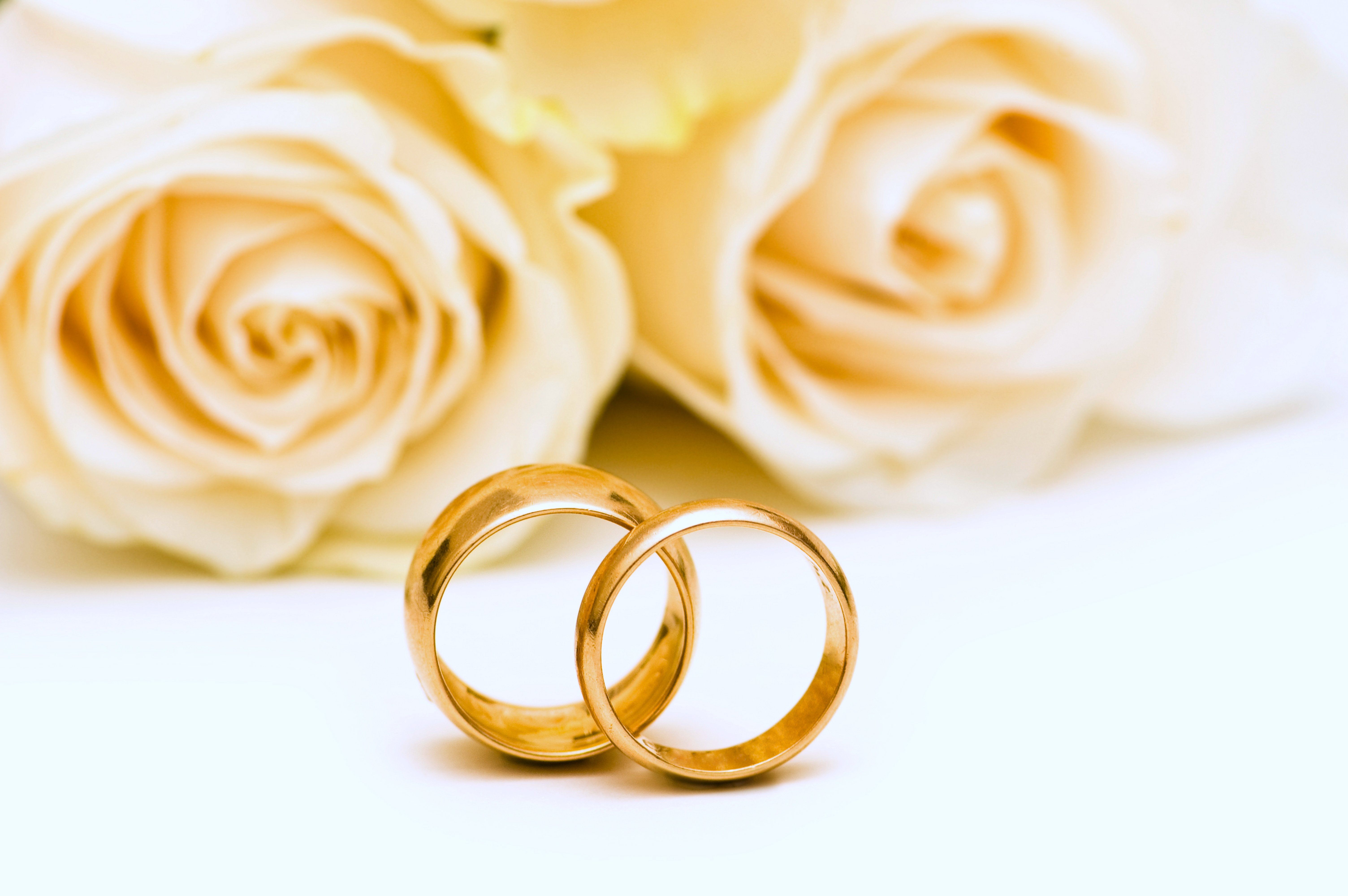 Wedding rings roses flowers gold lovers yellow romance emotions