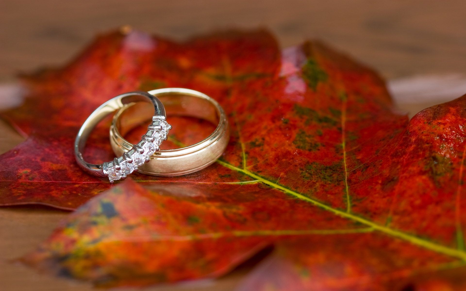 Diamond Engagement Ring Wallpapers Diamond Ring Images Cool