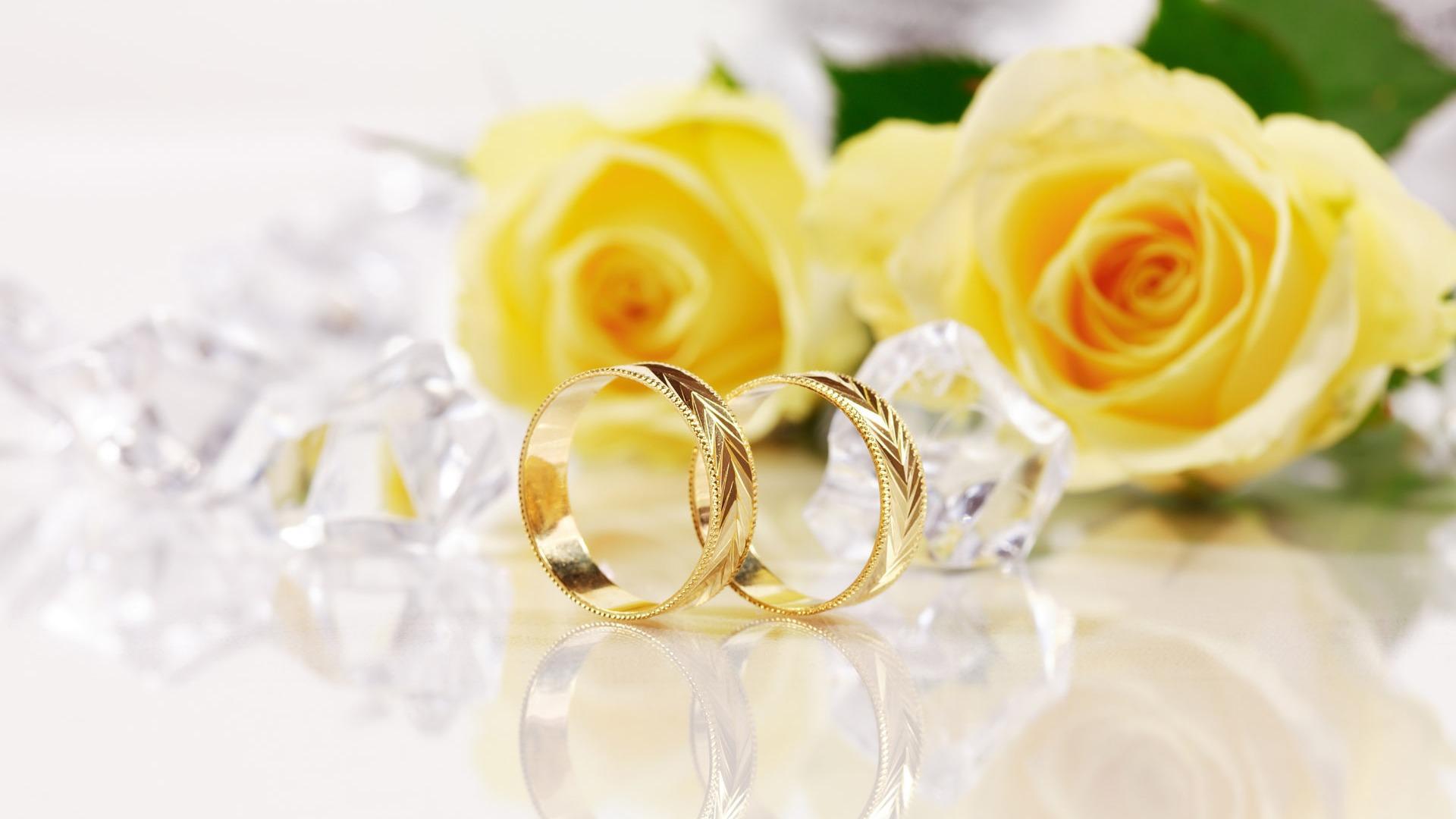 Yellow roses and gold wedding rings wallpapers and images ...