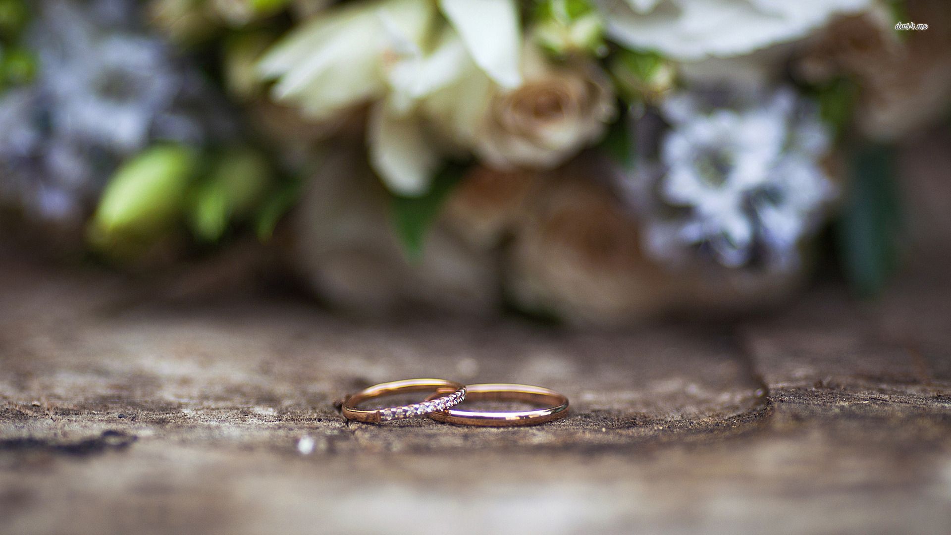 Wedding rings wallpaper - Photography wallpapers - #34593