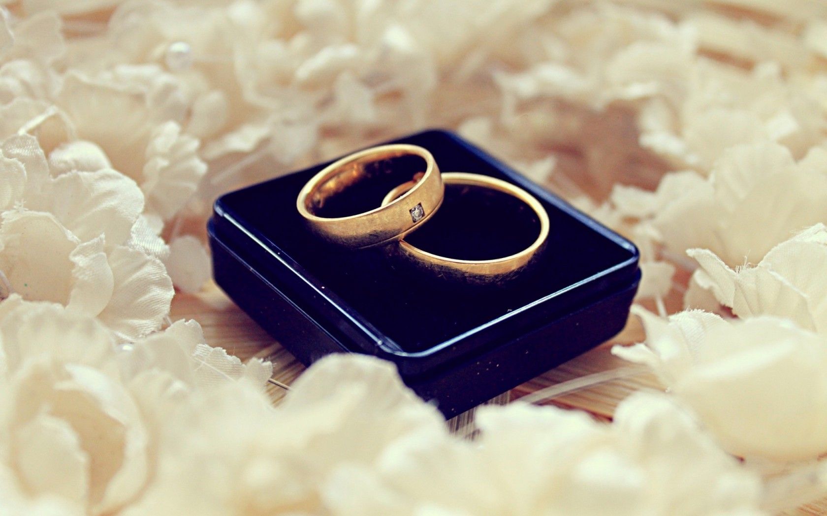 Two Wedding Rings with White Flowers | Macro Photo and Wallpaper