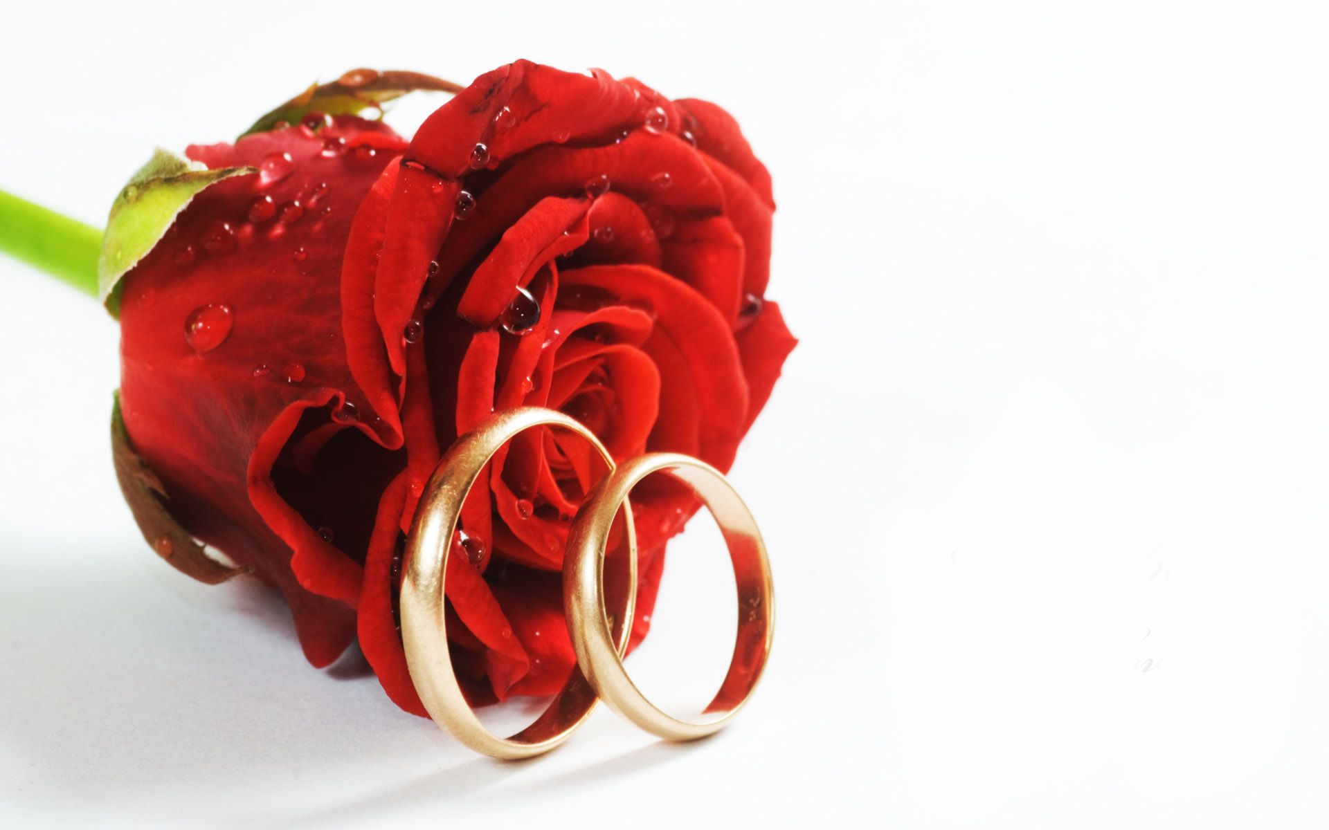 Wedding Ring Wallpapers - HD Wallpapers 83869