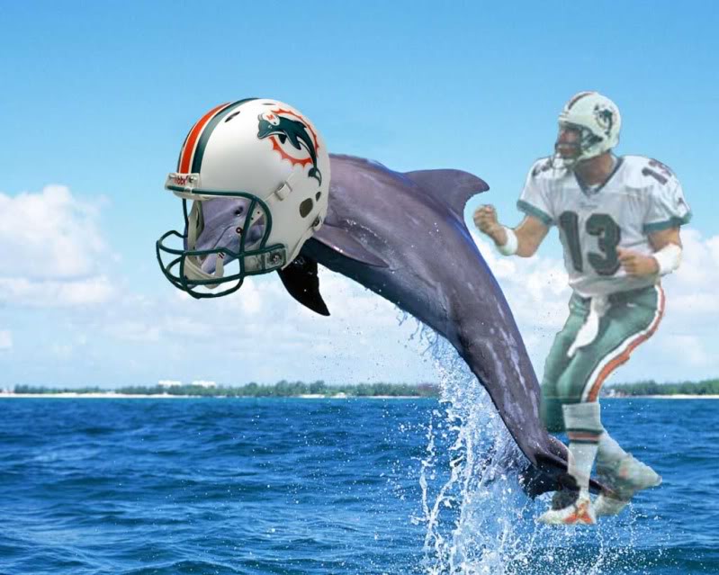 dolphins free wallpaper: Miami Dolphin Wallpaper