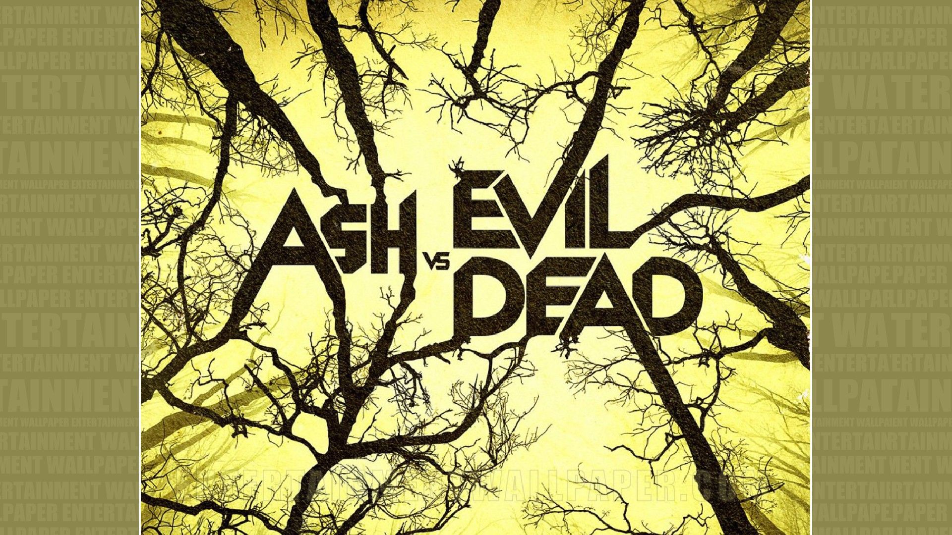 Ash vs. Evil Dead Wallpaper - #20045857 (1920x1080) | Desktop ...