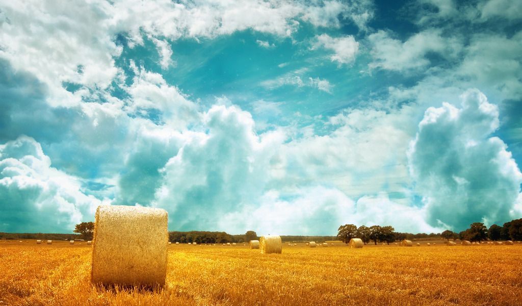 Resolution 1024x600 Wallpapers: Hay Fields Android Wallpapers