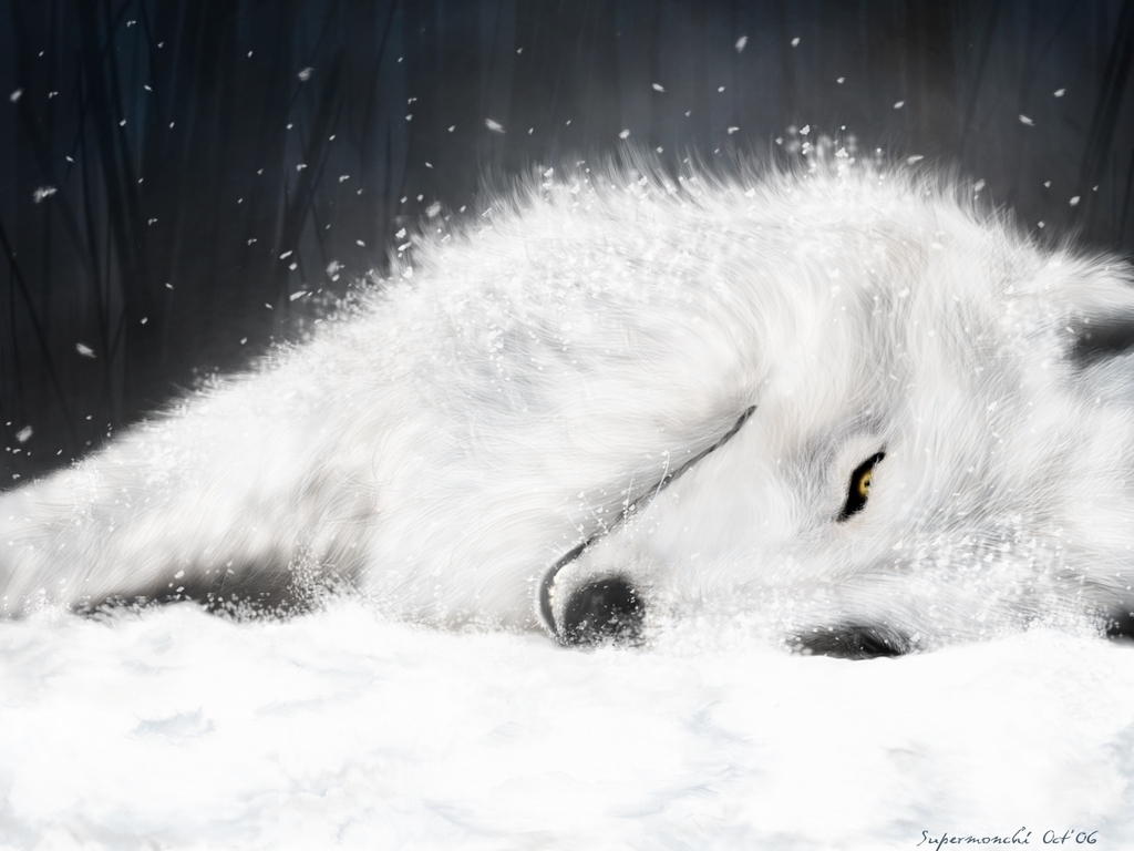 Wallpapers Wolf White Wolves Fanpop Fanclubs 1024x768 #wolf