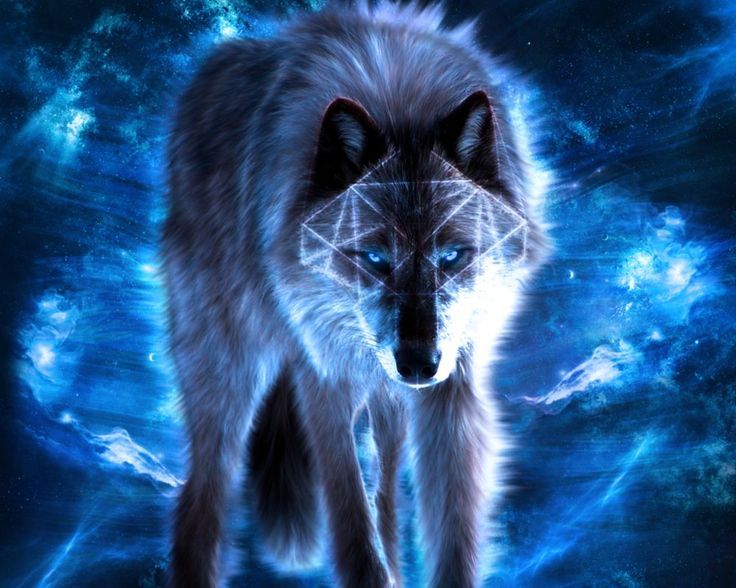 White Wolf wallpaper—I love this pic | Wolves | Pinterest | White ...