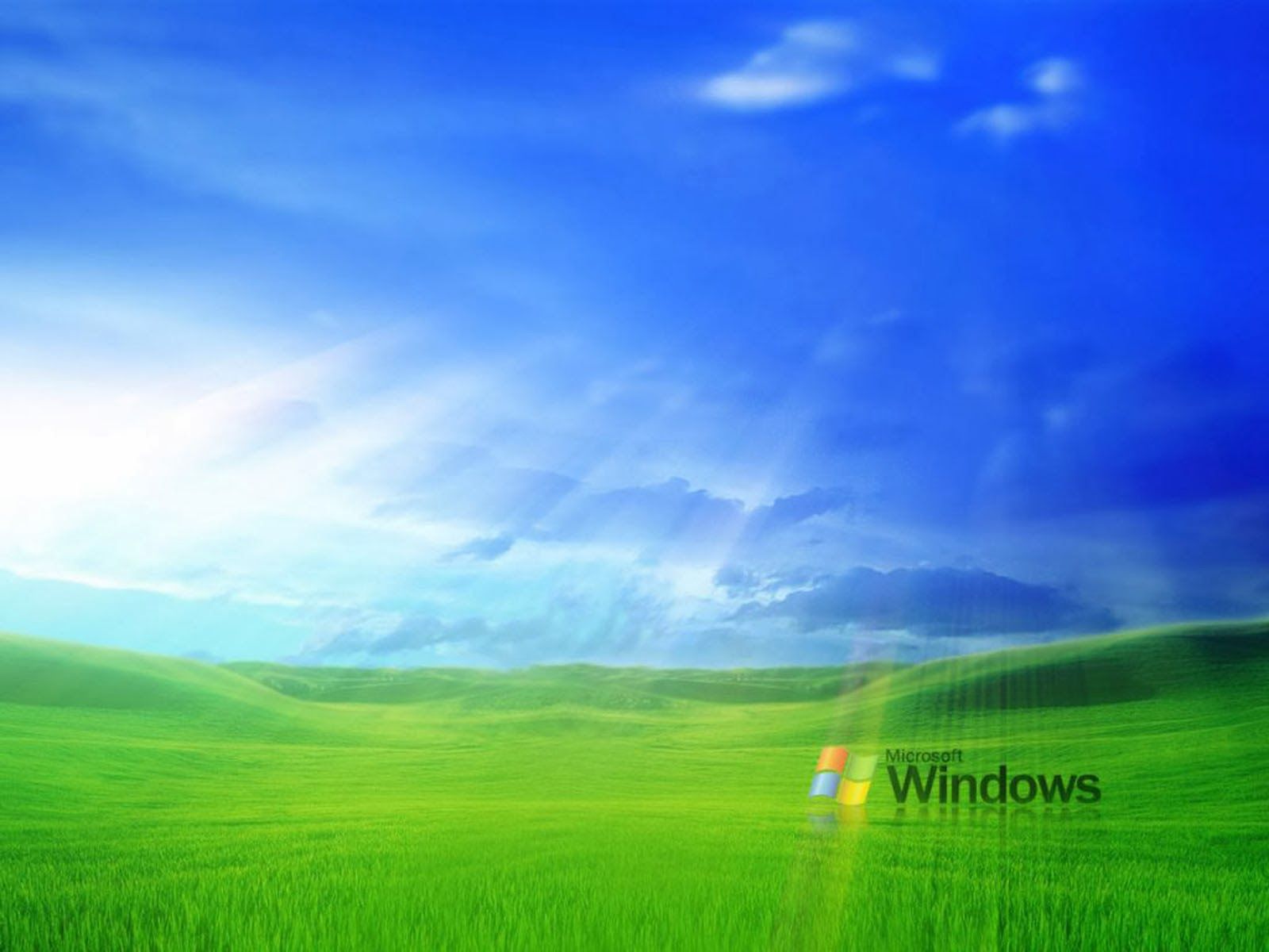 wallpapers: Grass Windows XP Wallpapers