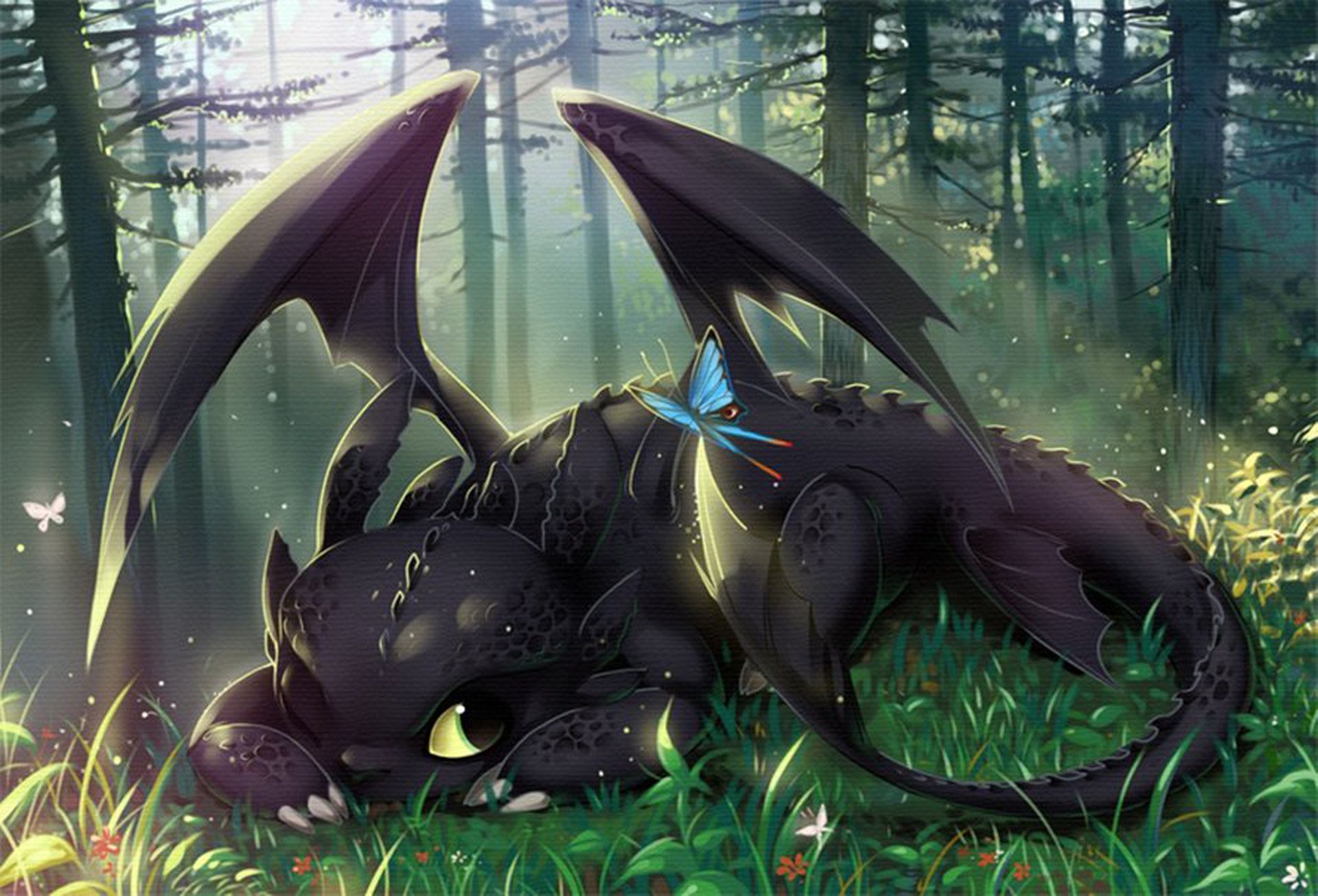 Toothless HD Wallpapers