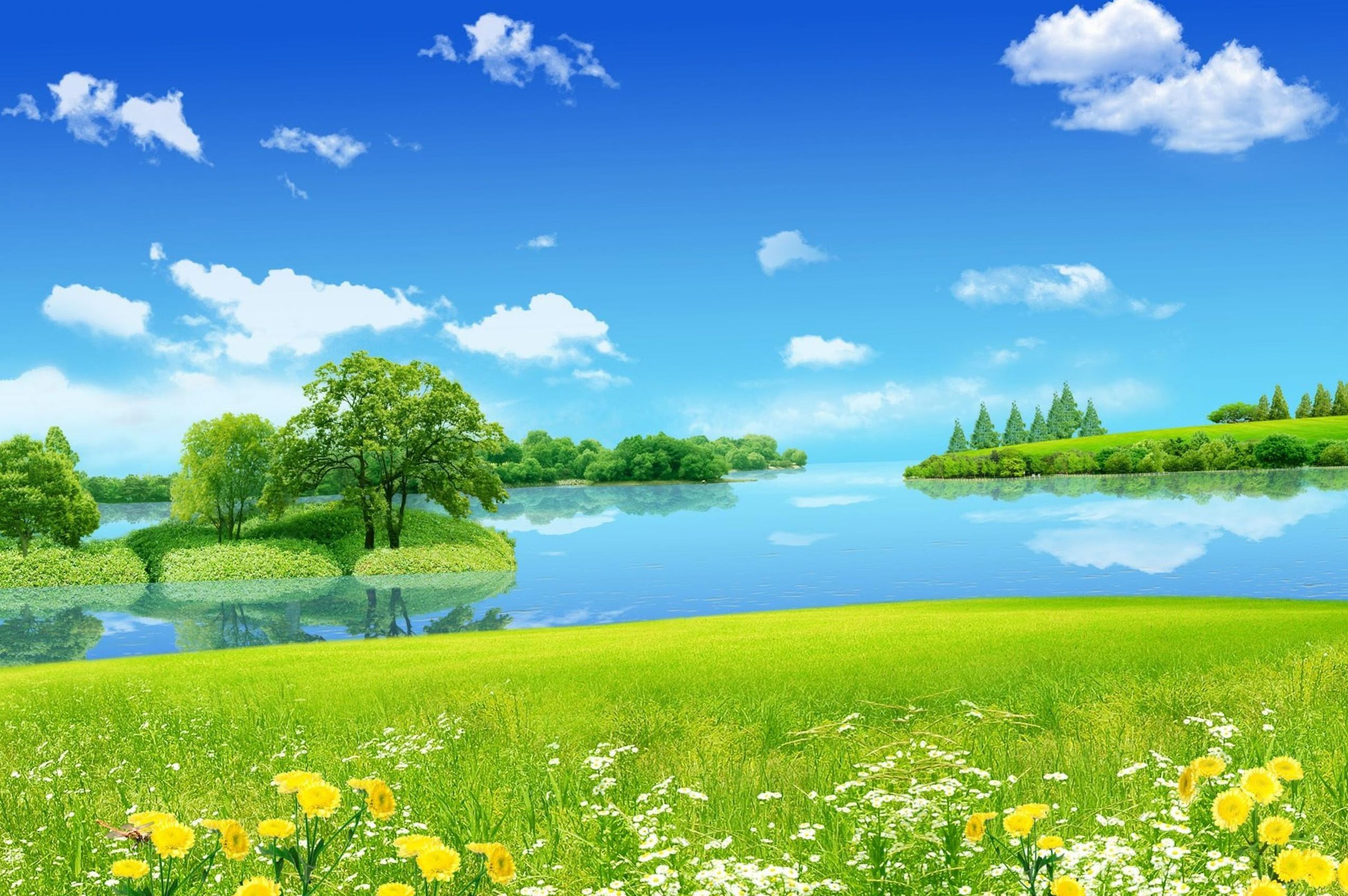 Nature Backgrounds, Hd Wallpapers, Mother Nature, Windows, Green ...