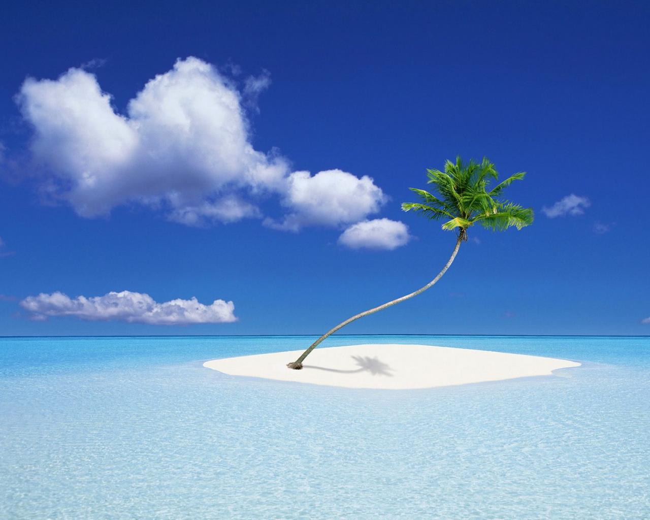Beaches, islands and trees 1280x1024 Notebook / LCD wallpaper