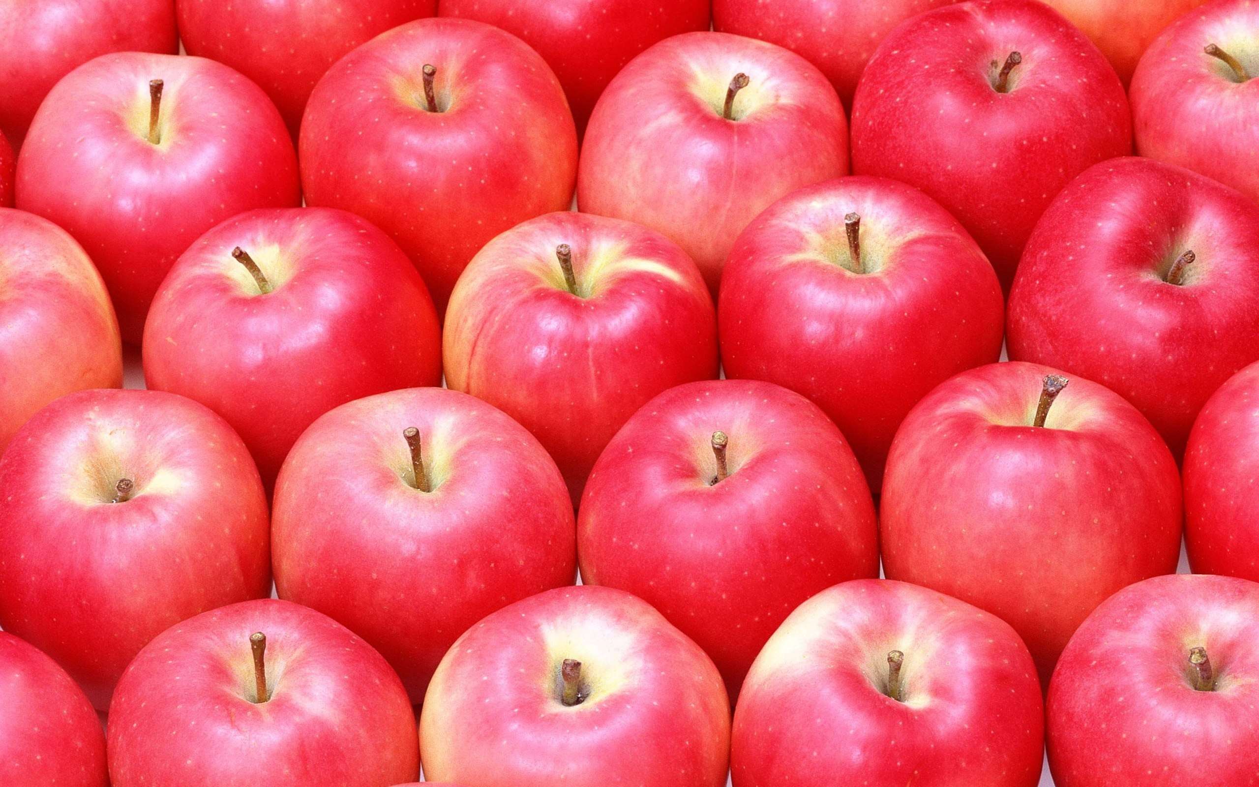 Wallpaper Of Apples