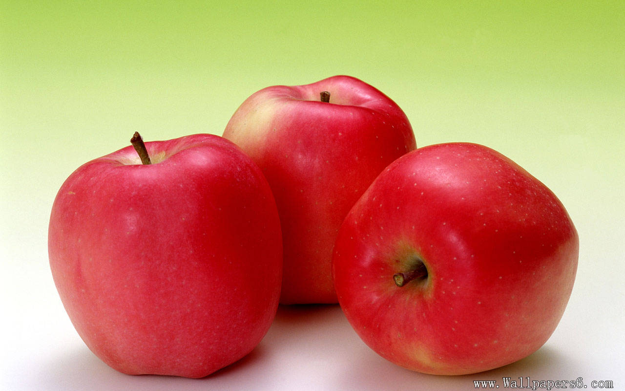 apples － Cate Wallpapers - Free download wallpapers,windows xp ...