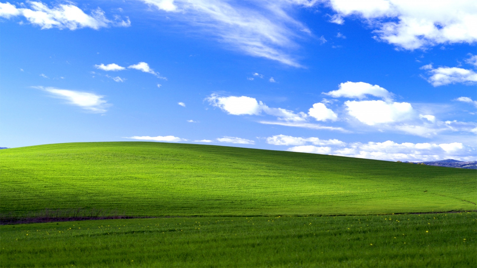 Windows XP Default Wallpaper