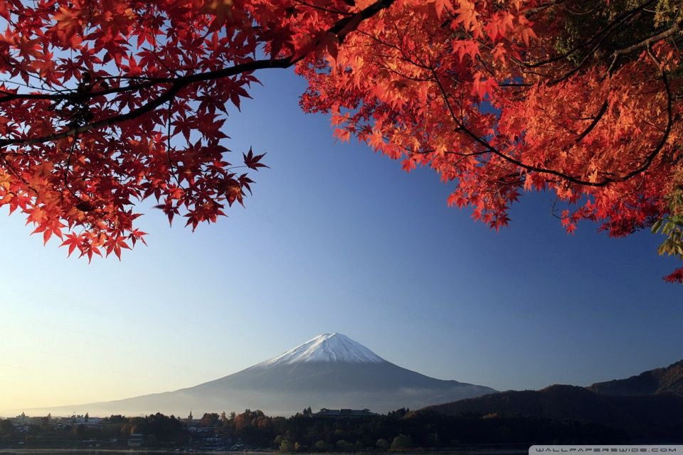 Autumn, Mount Fuji, Japan HD desktop wallpaper : High Definition ...