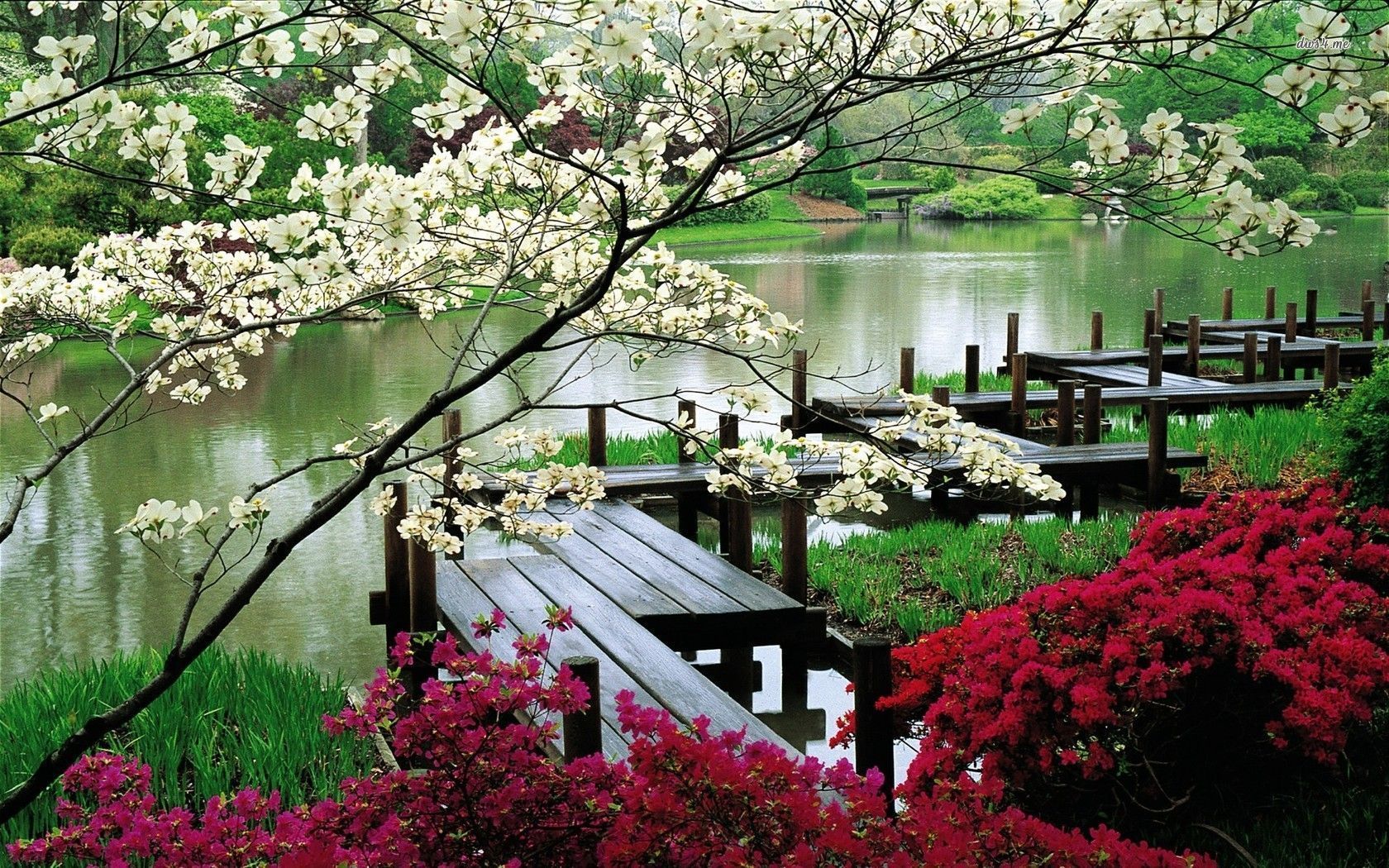 Japanese Garden Desktop Wallpapers