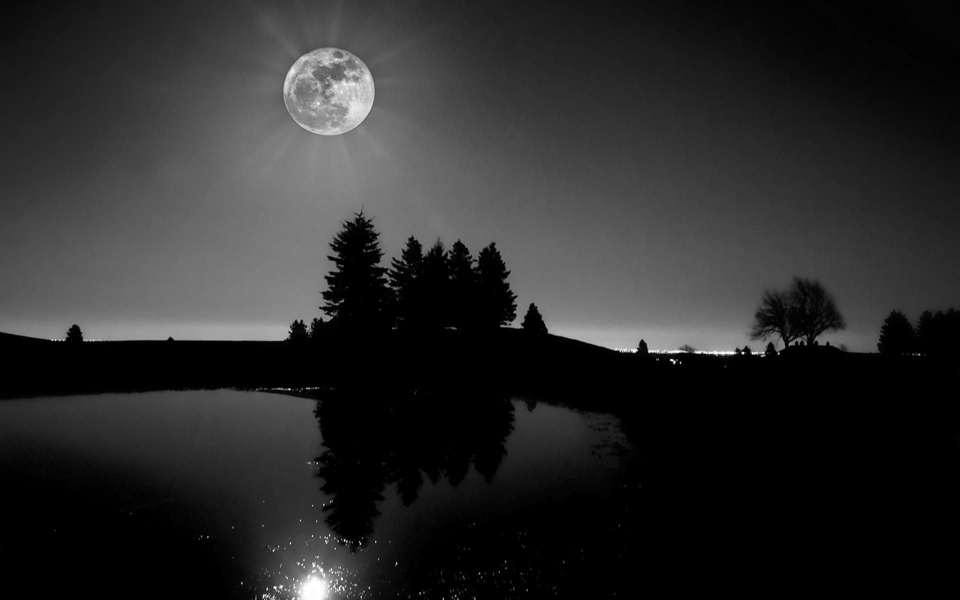 Nature & Landscape Black And White Moon Light Wallpaper. Black and ...