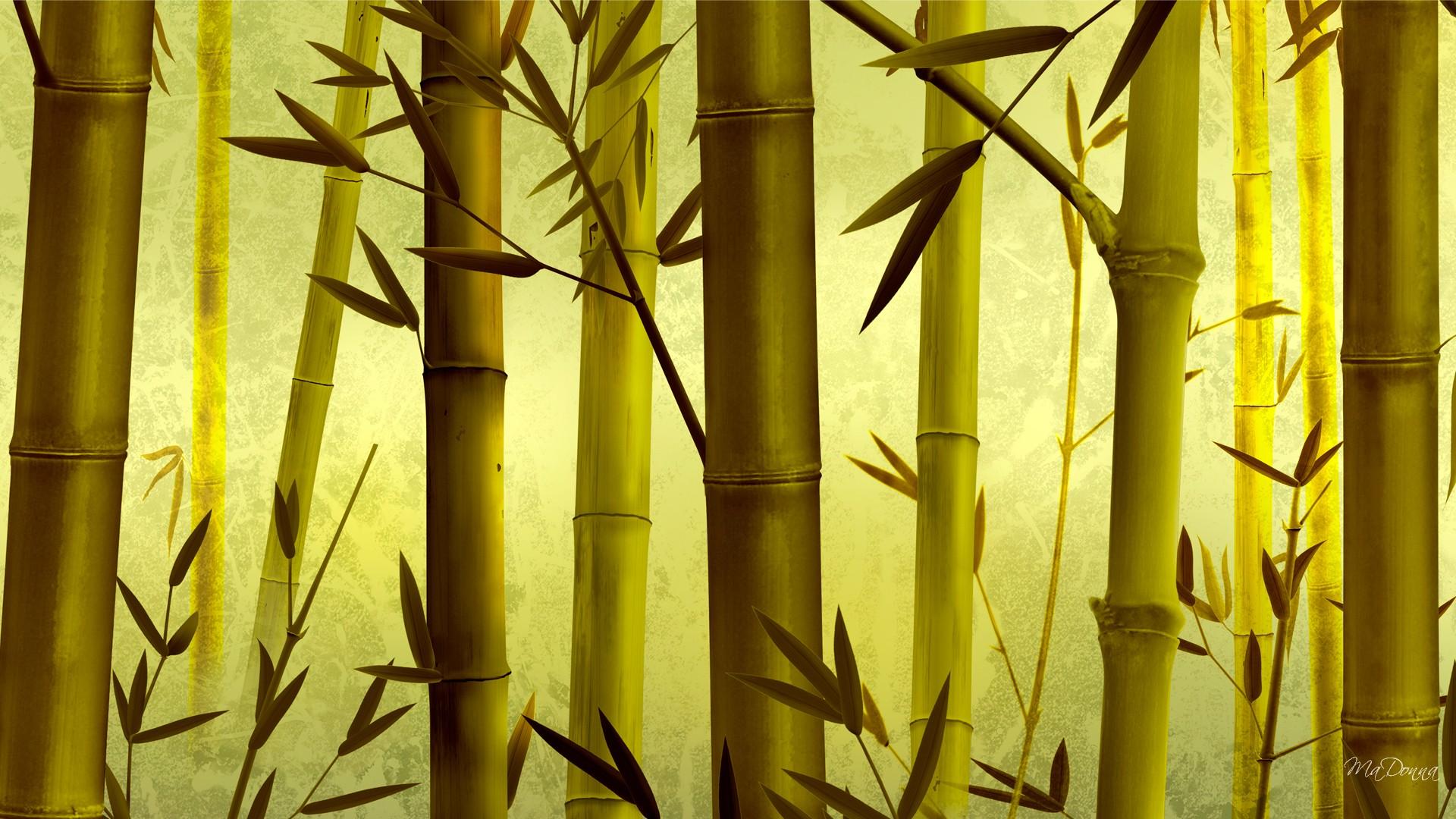 Bamboon Green Gold >> HD Wallpaper, get it now!
