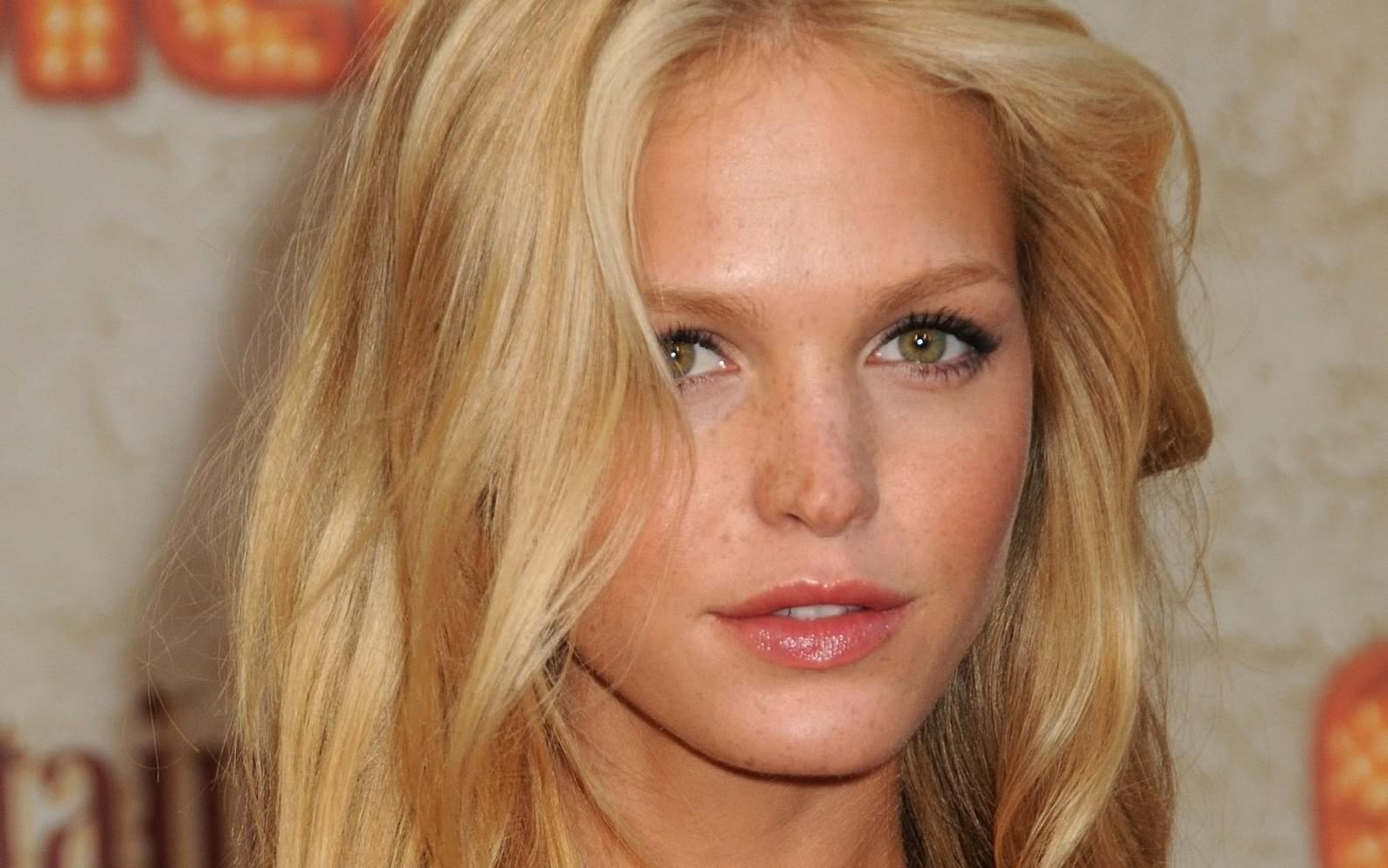 Erin Heatherton Wallpaper for PC Full HD Pictures