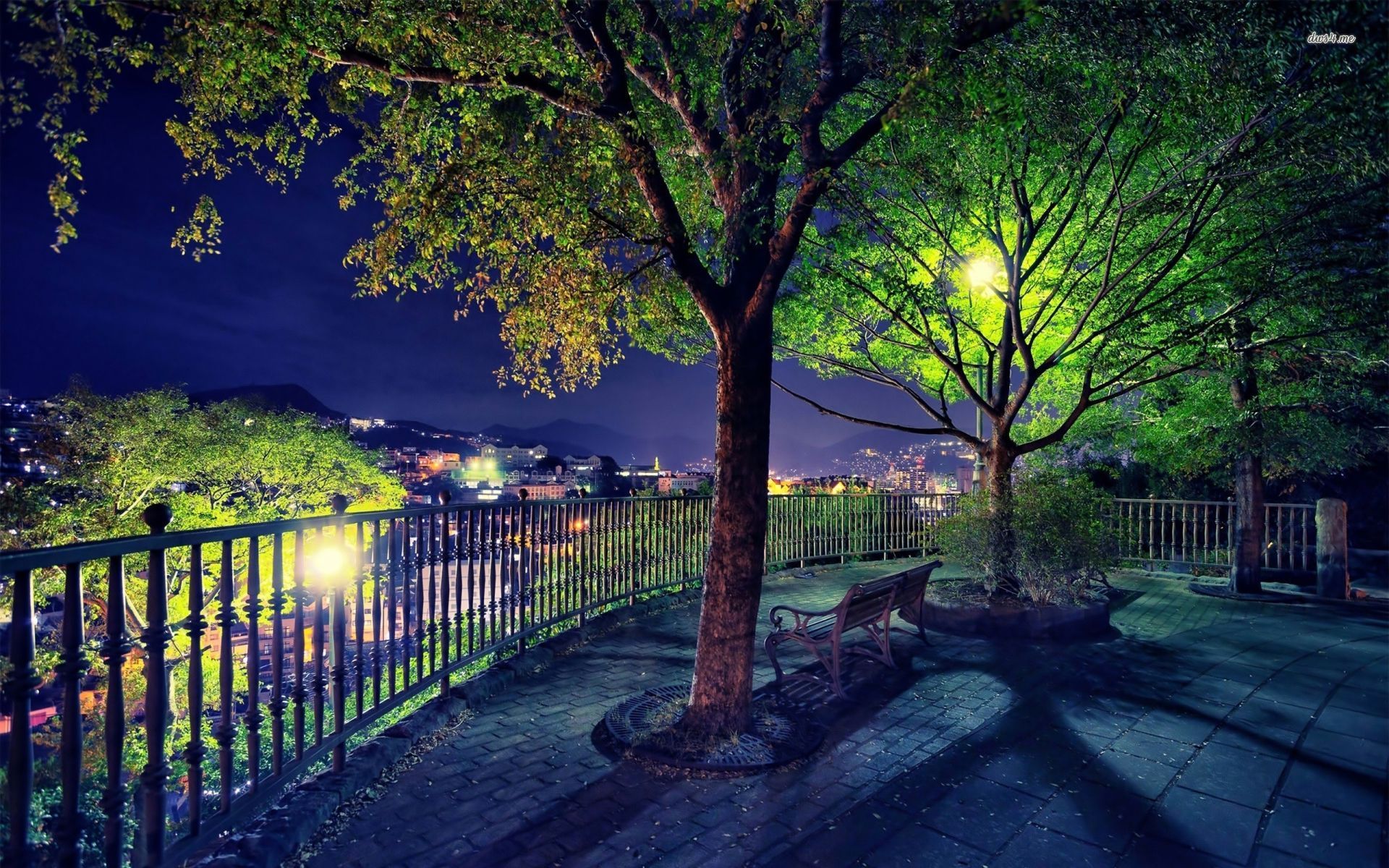 Park with the view of the night city wallpaper - Photography ...