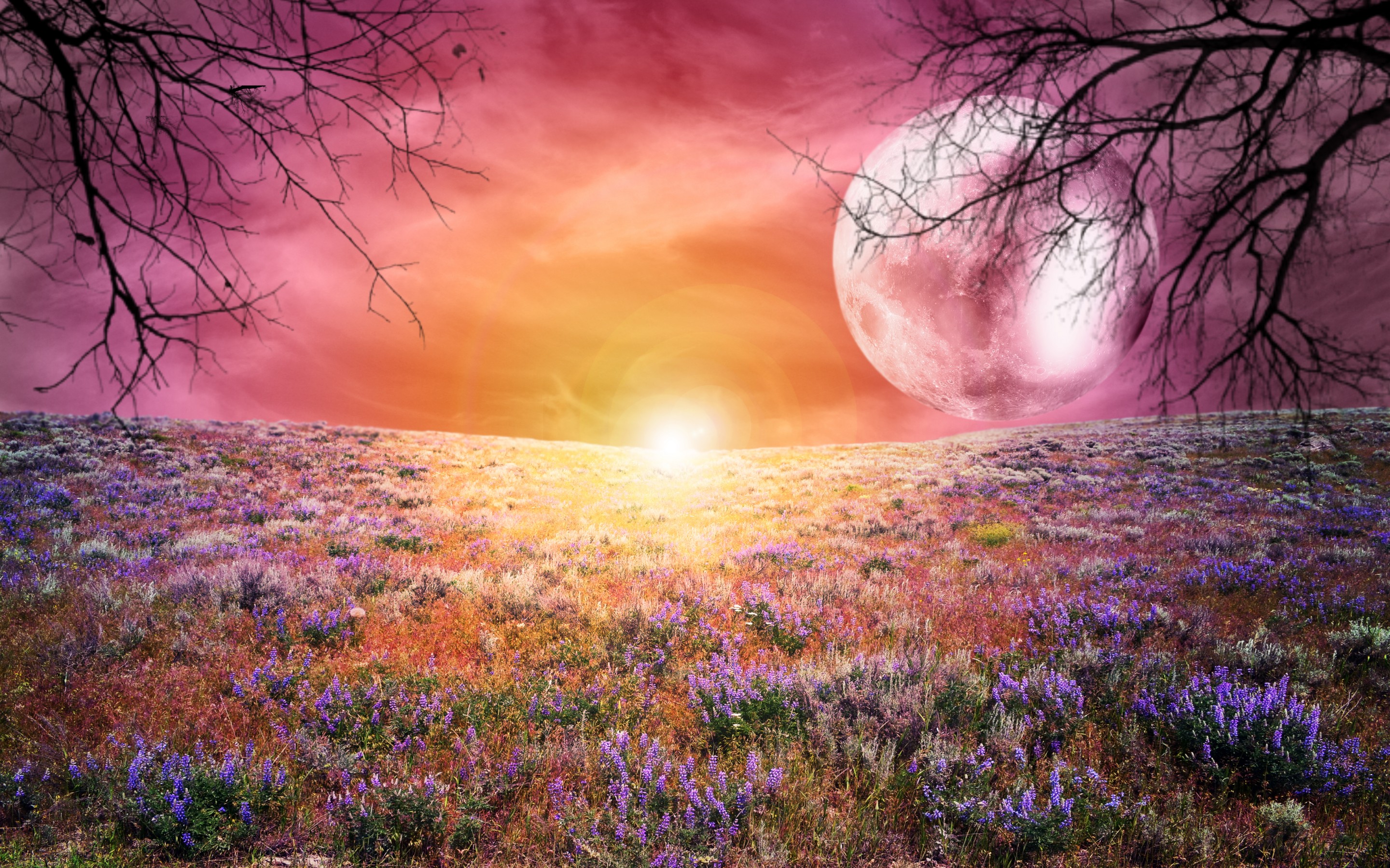 152 A Dreamy World Hd Wallpapers Backgrounds Wallpaper Abyss