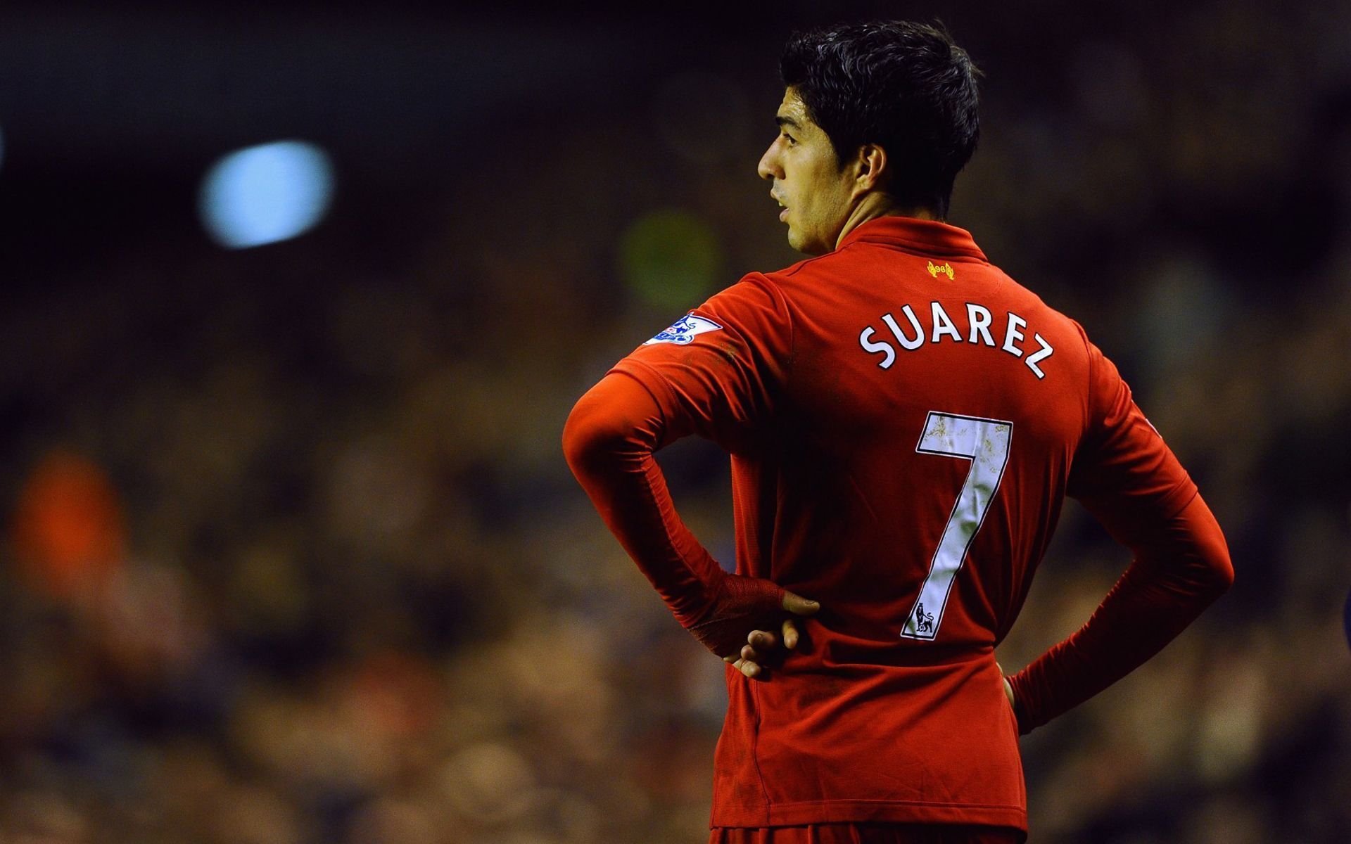 Wallpaper Liverpool, football player, Luis Suarez, Uruguayan ...