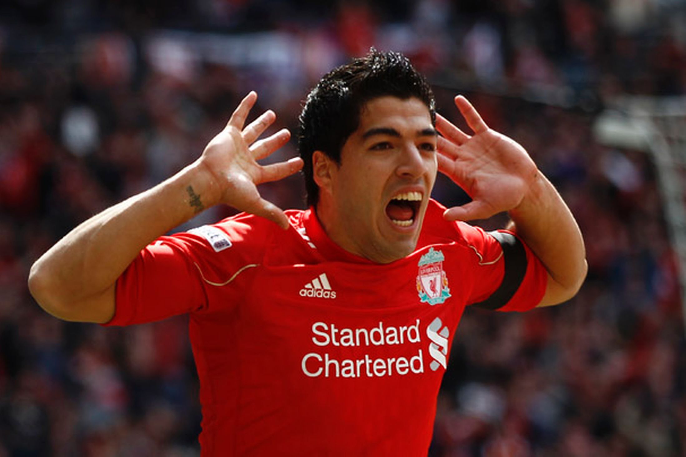 The player of Liverpool Luis Suarez wallpapers and images ...