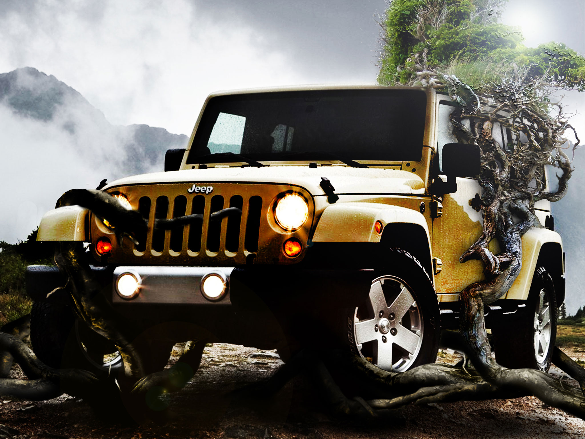 2016 Jeep Wrangler Polar Pictures For Apple Download