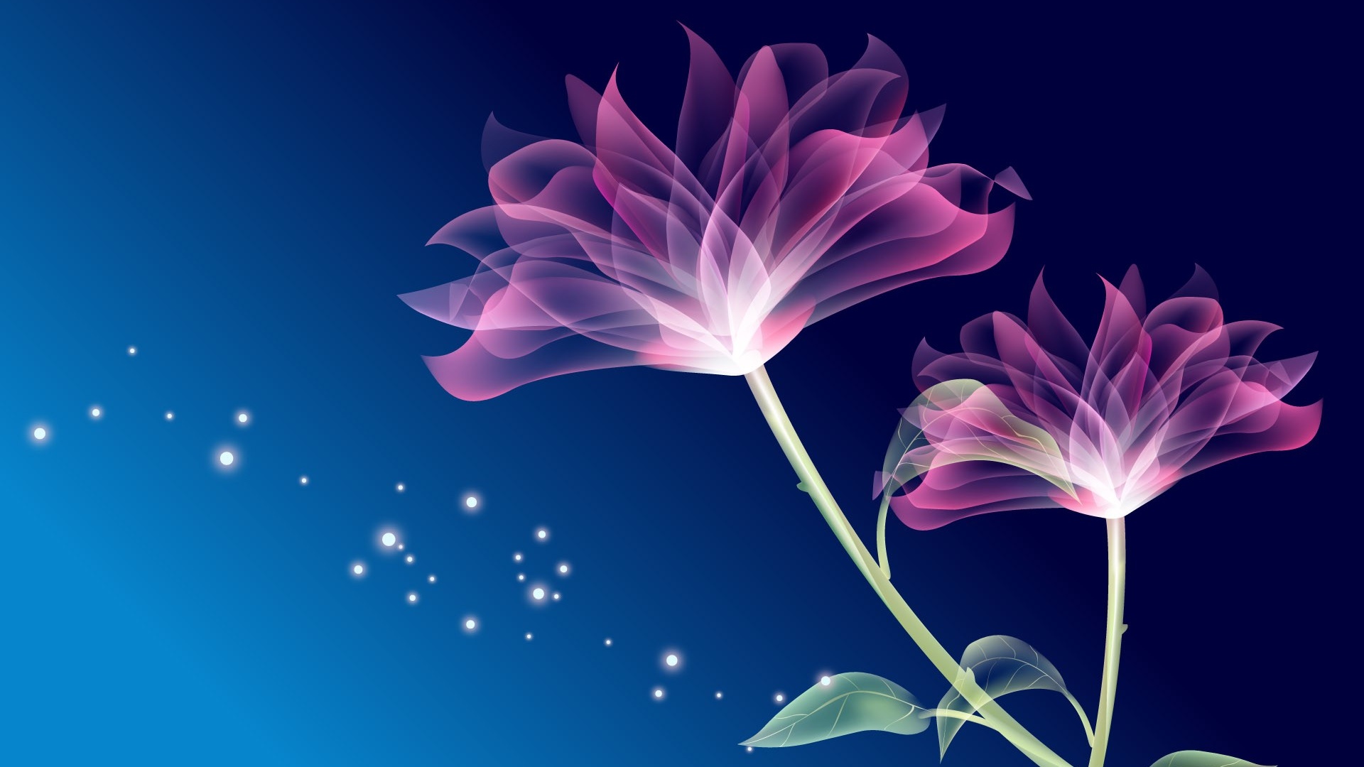 HD Magic Wallpapers and Photos HD Flowers Backgrounds