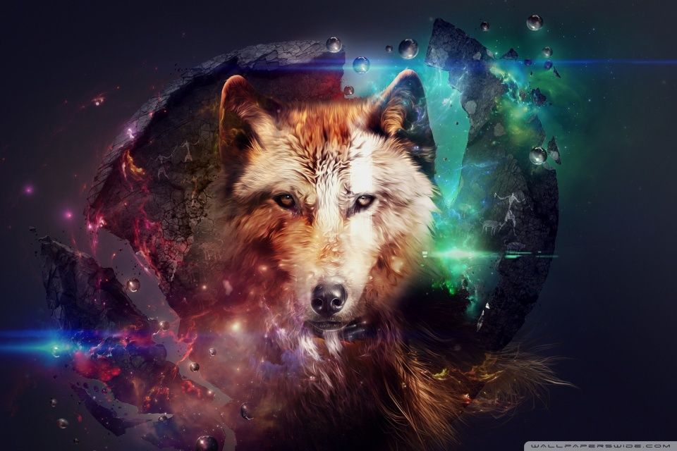 Magic Wolf HD desktop wallpaper : High Definition : Fullscreen ...